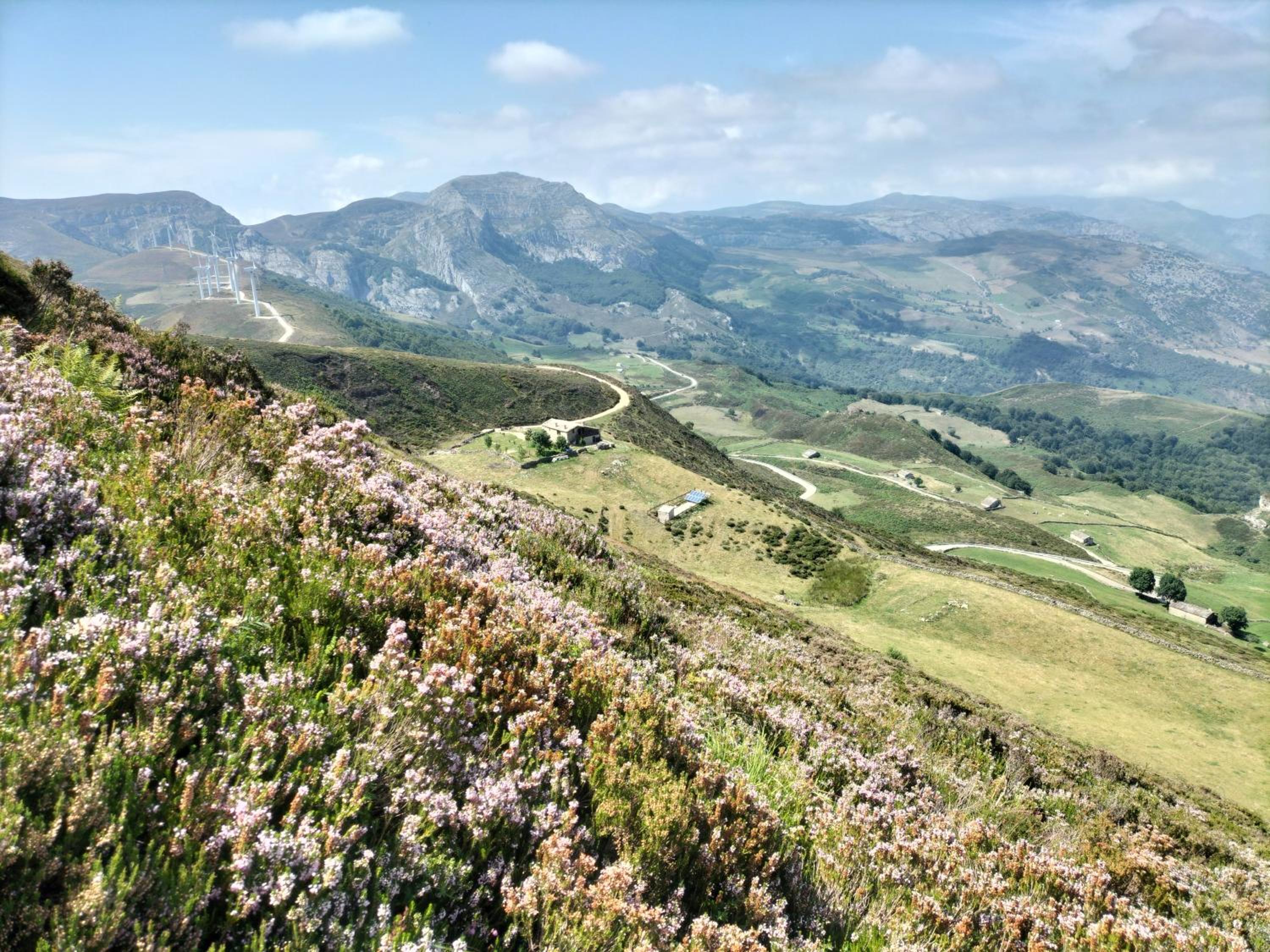Tiñones cabaña pasiega