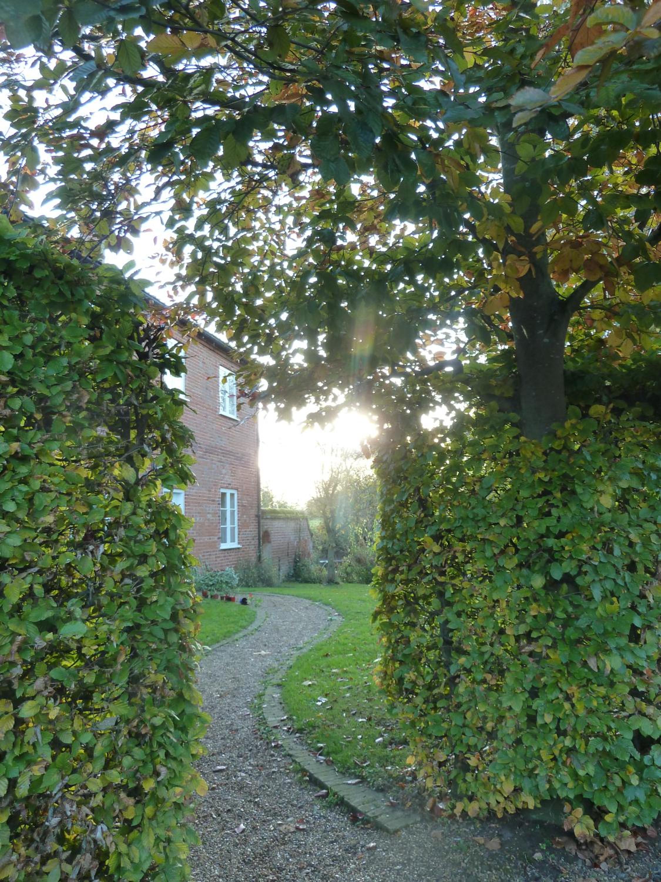 Photo 34