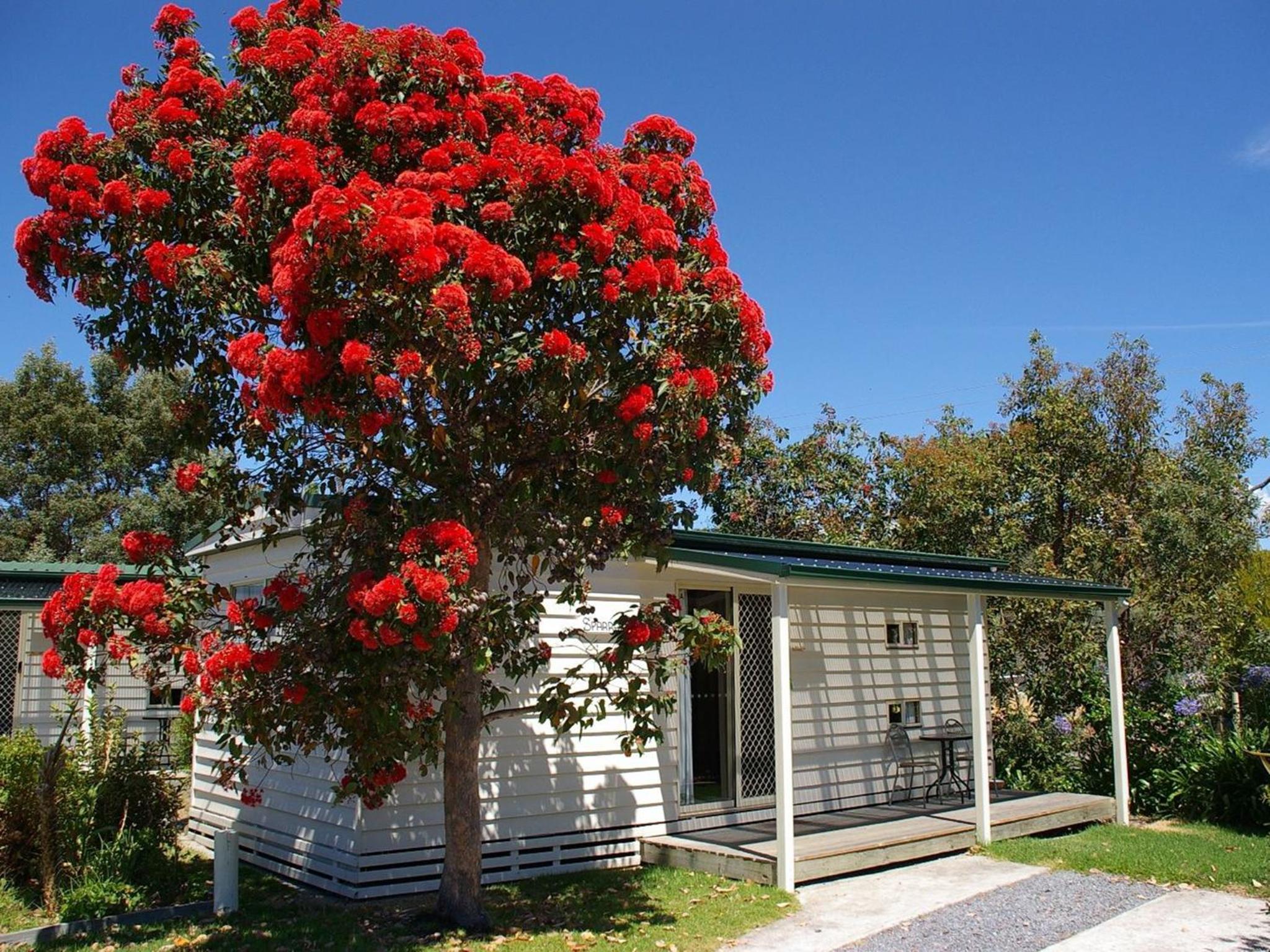 Beauty Point Tourist Park