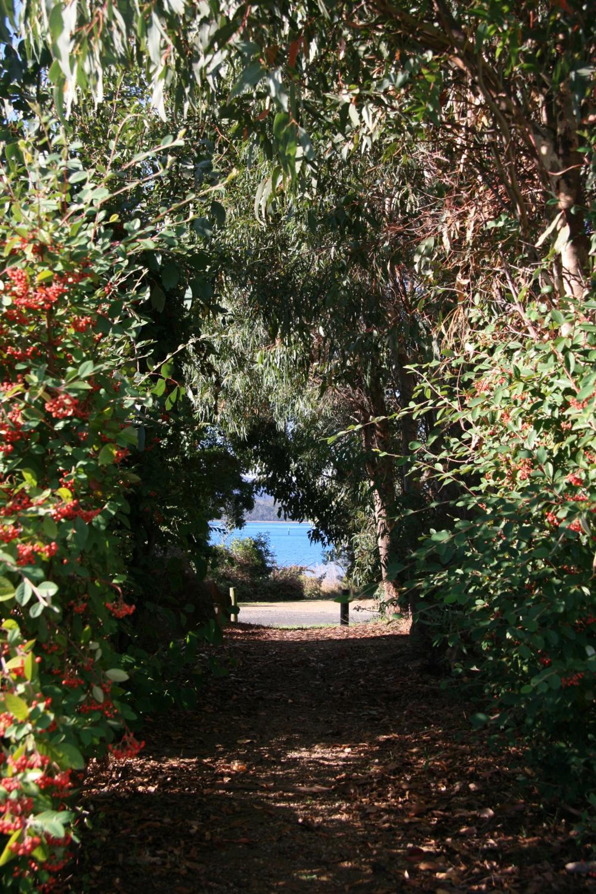 Beauty Point Tourist Park