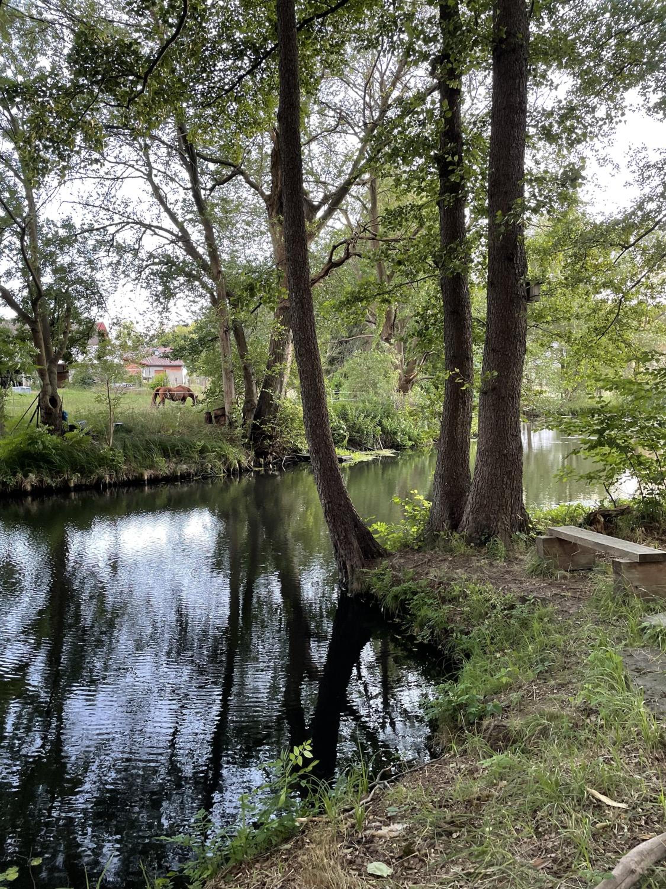 Spreewaldhaus am Landgut - Pretschen