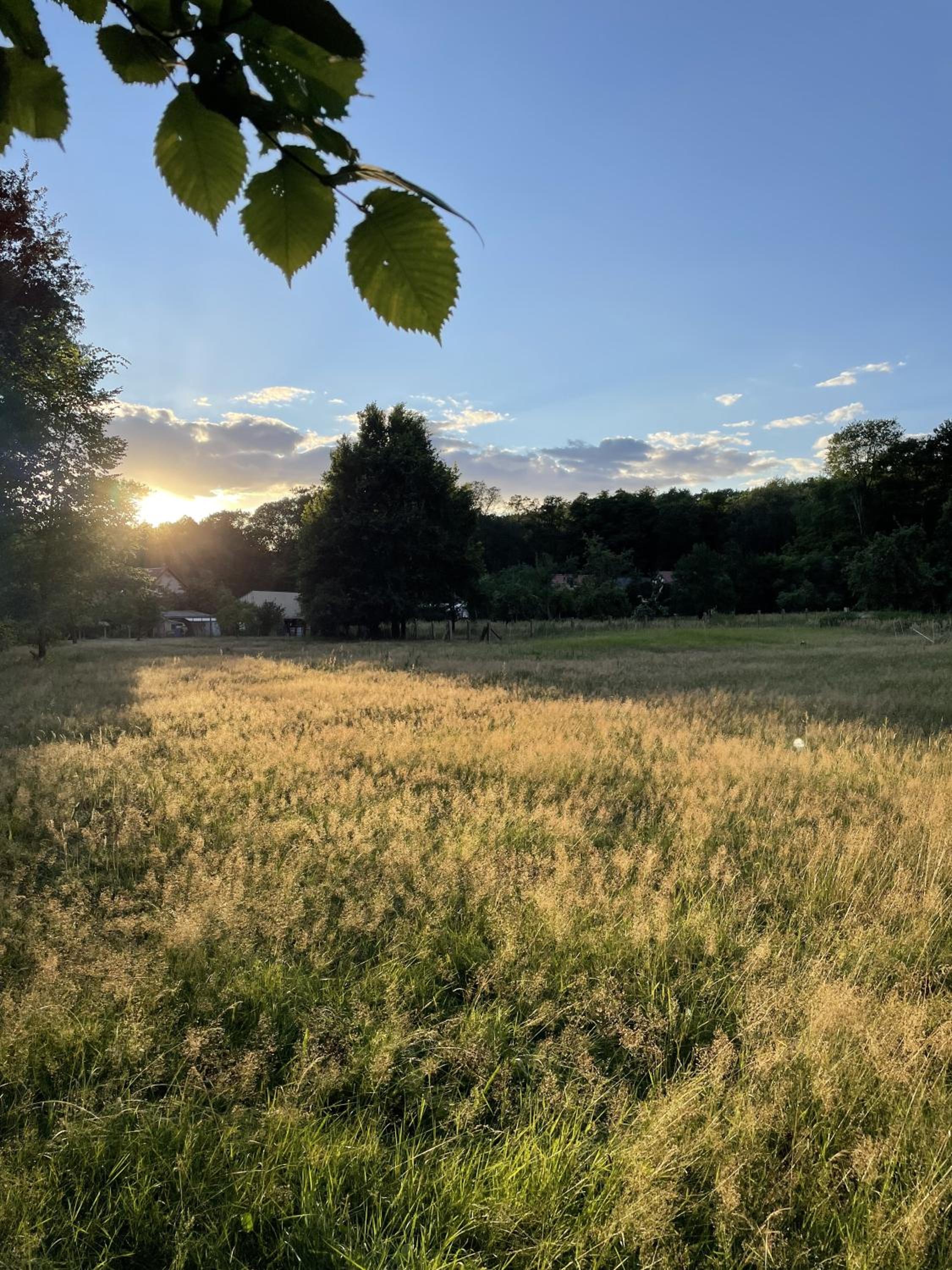 Spreewaldhaus am Landgut - Pretschen