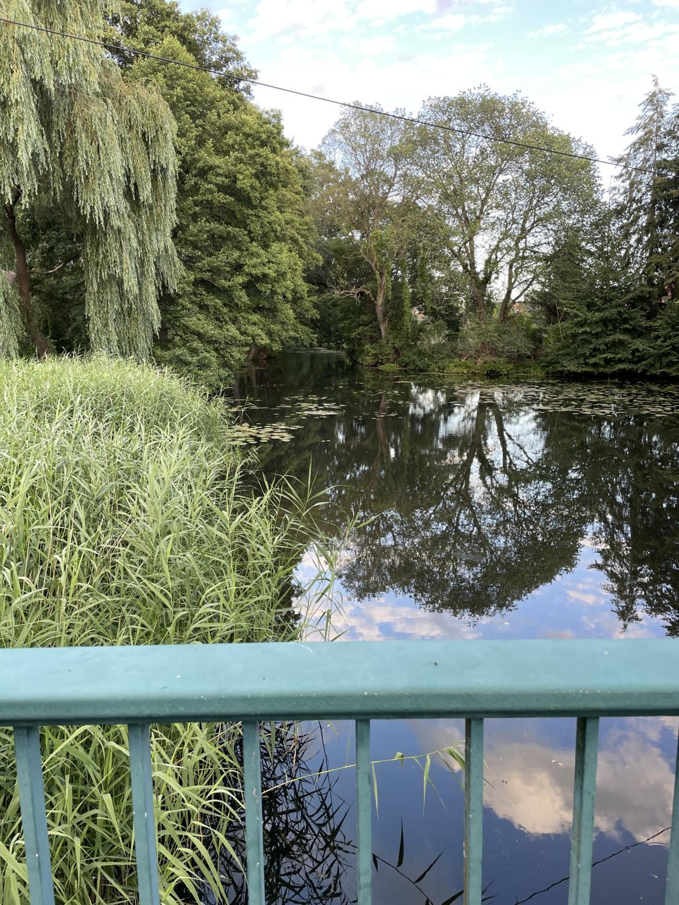 Spreewaldhaus am Landgut - Pretschen