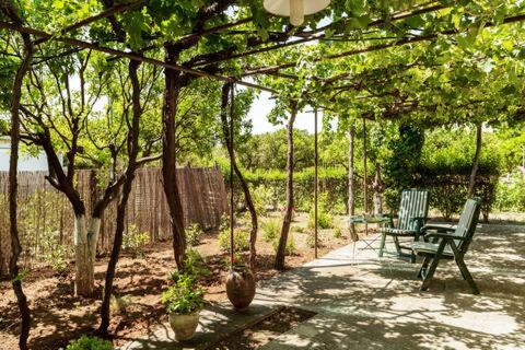 Spacious farmhouse with big yard and fireplace view 4