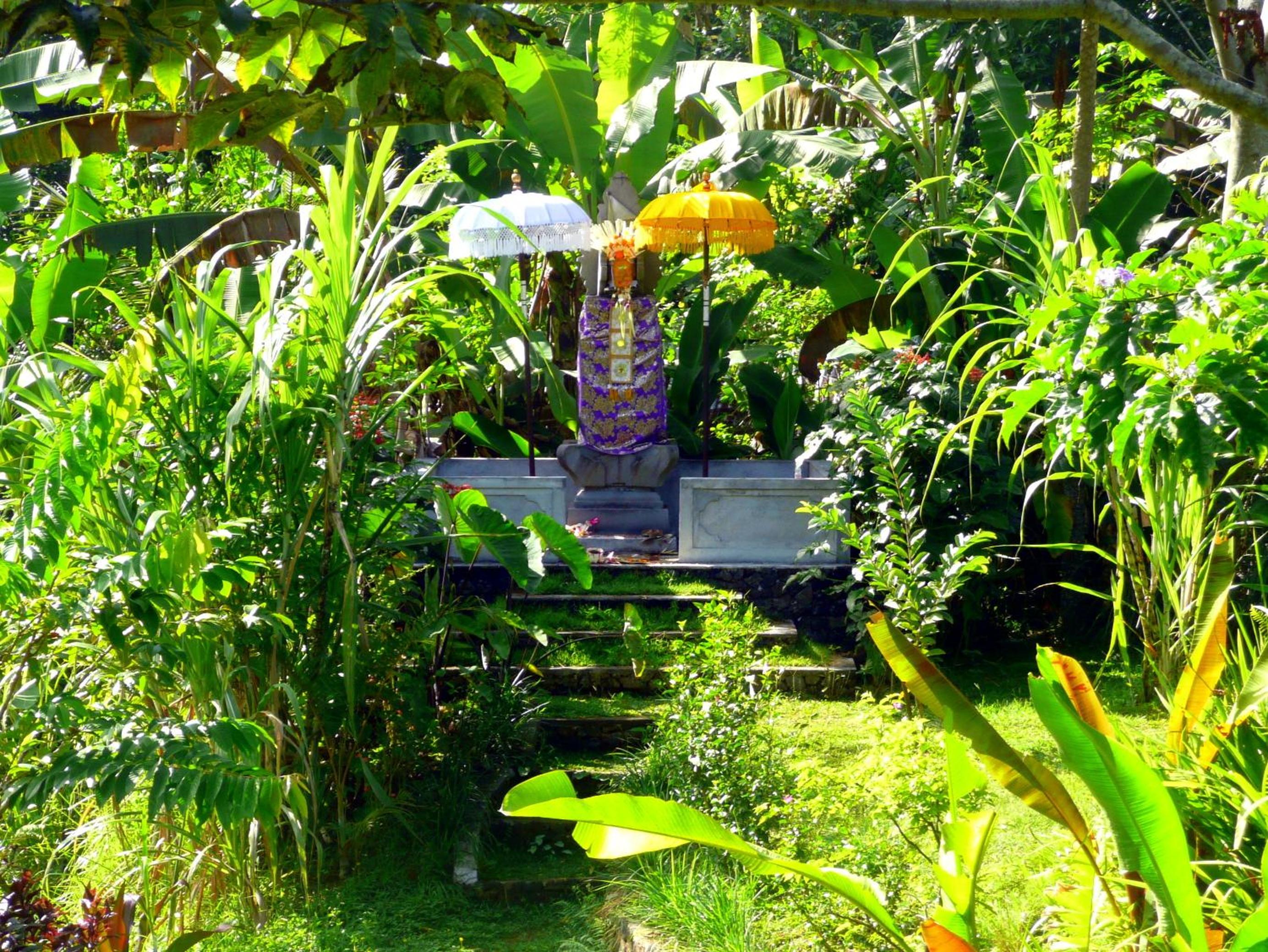 Photo 81