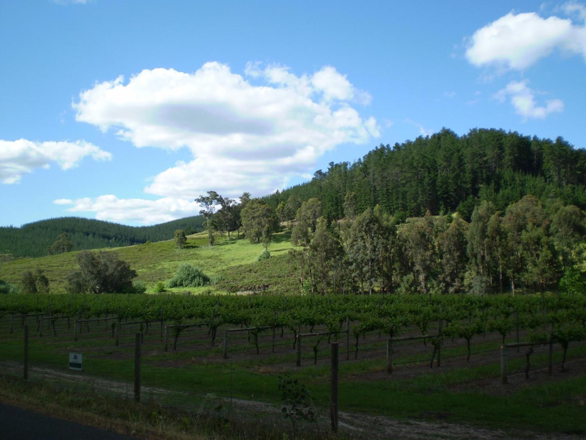 Redgum Hill Country Retreat