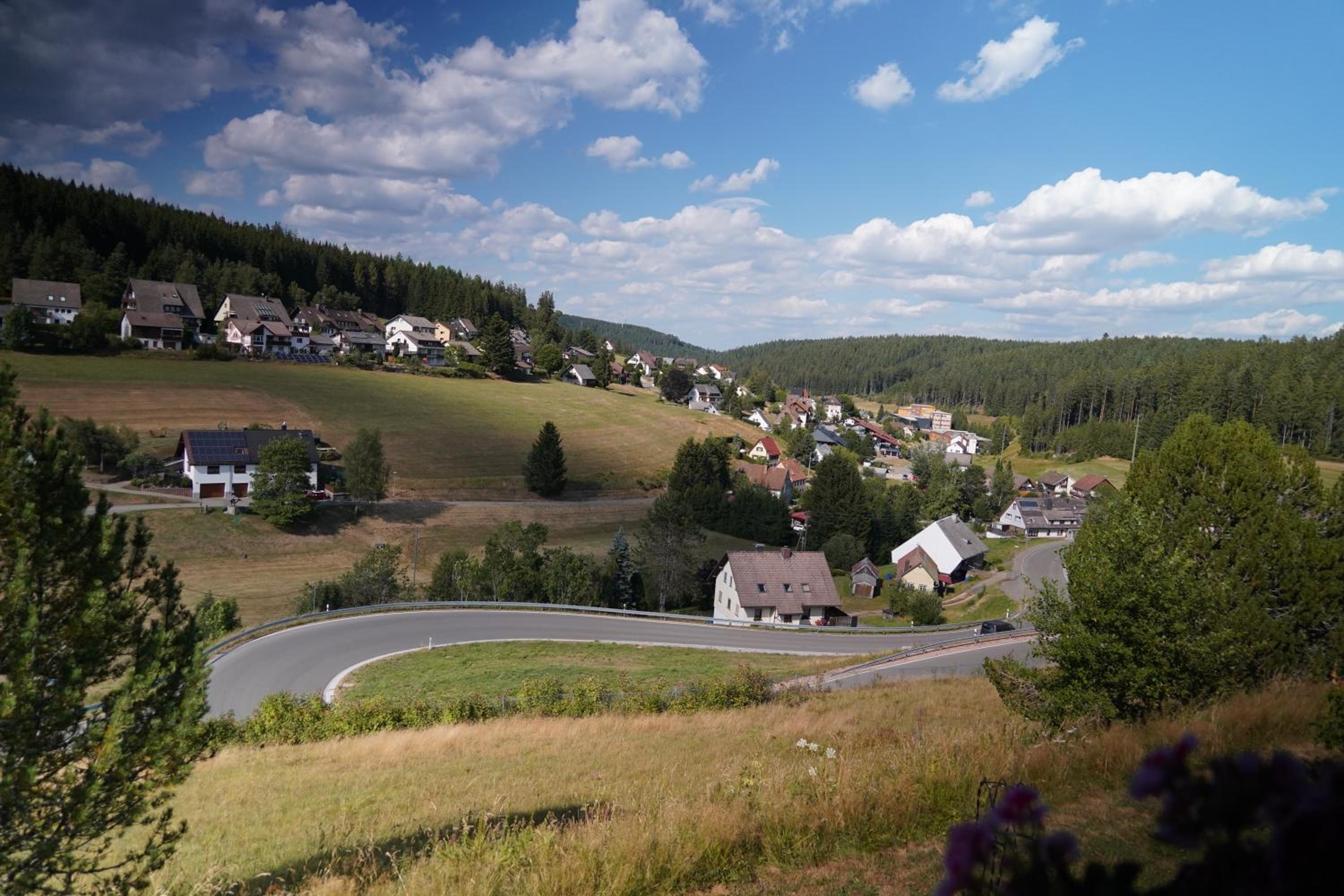 Schwarzwaldblick