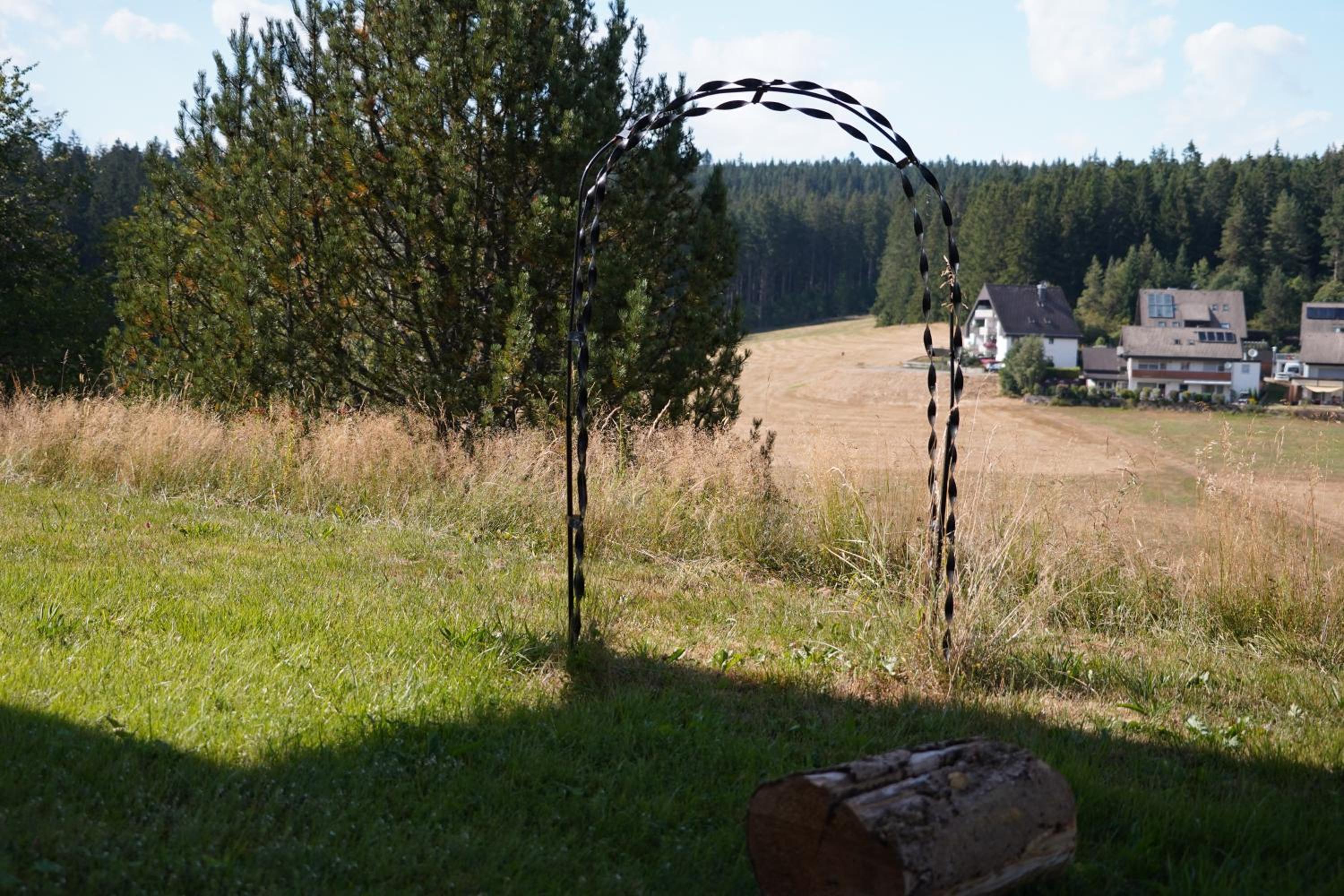 Schwarzwaldblick