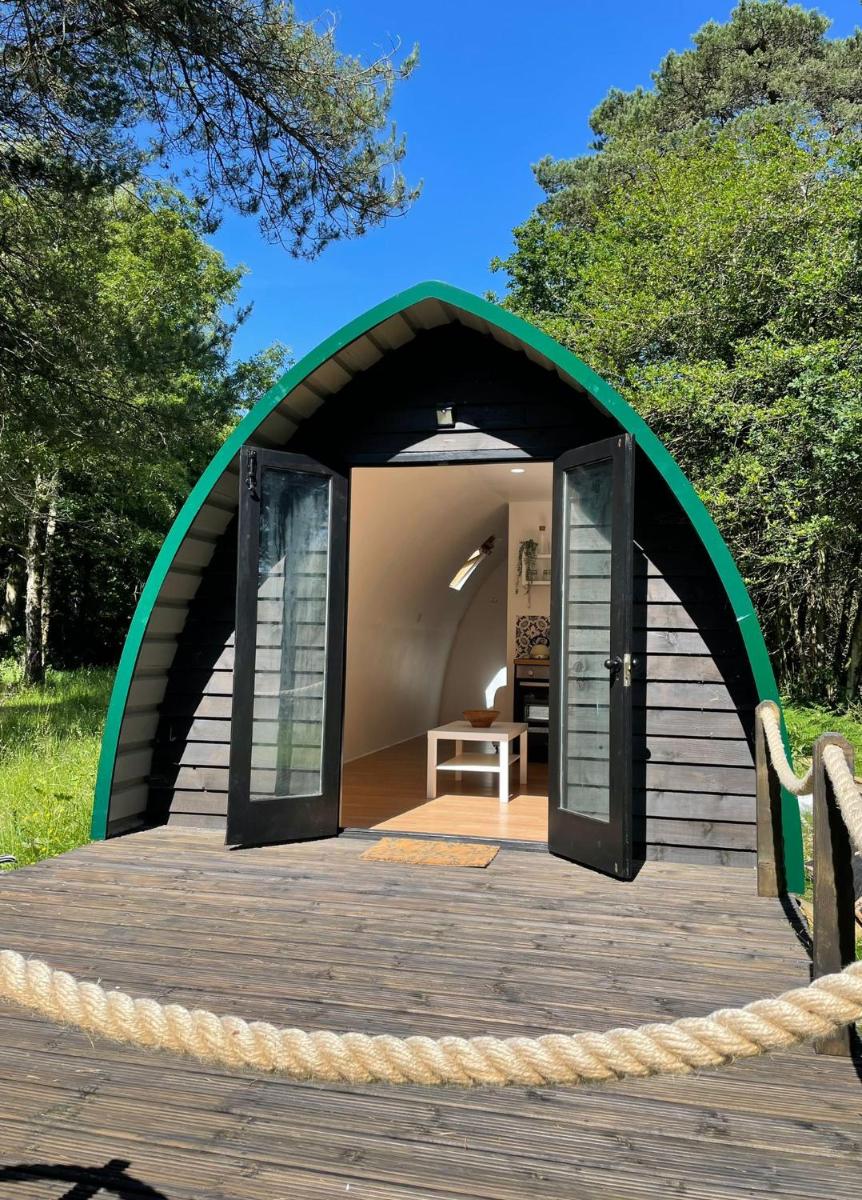 Wareham Vacations - Nuthatch Cabin at Cloudshill Glade - Property Image 5