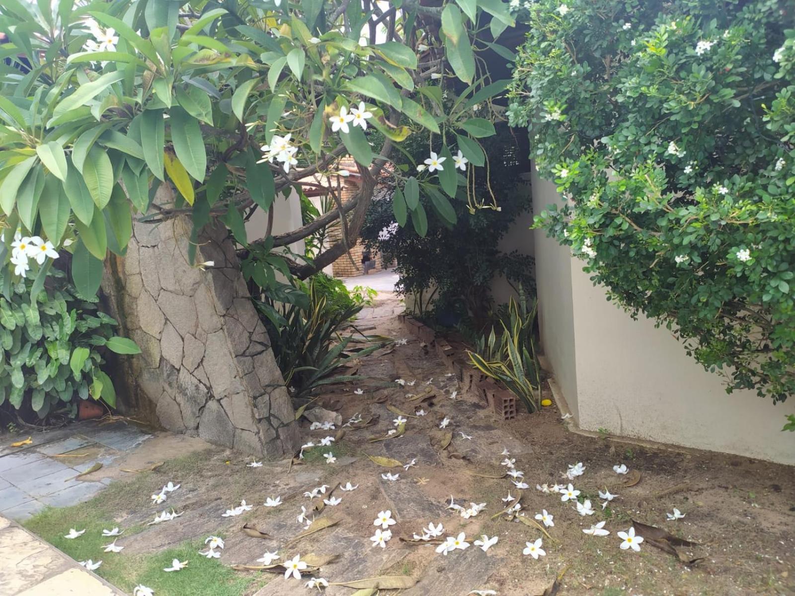 Cumbuco - Casa de praia com piscina e deck - Property Image 14