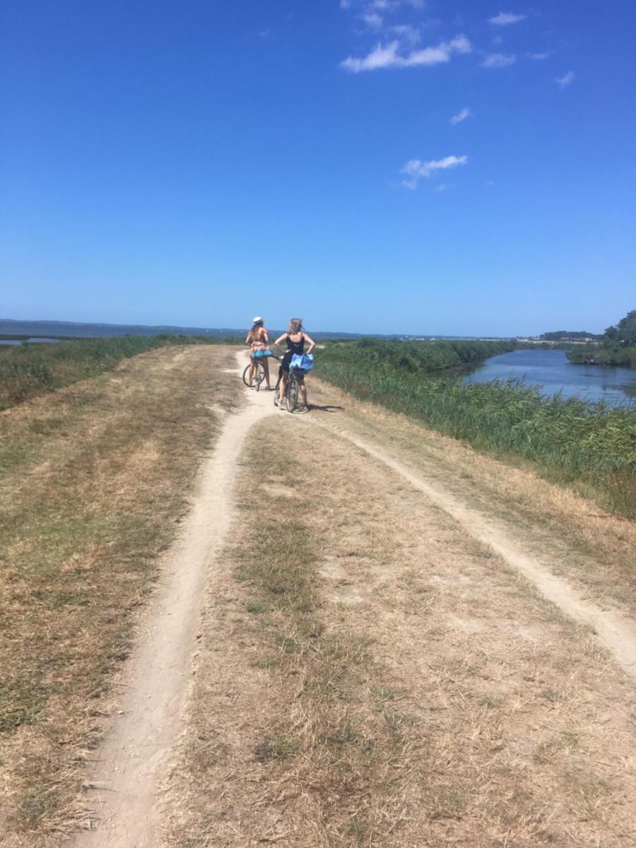 Photo 33