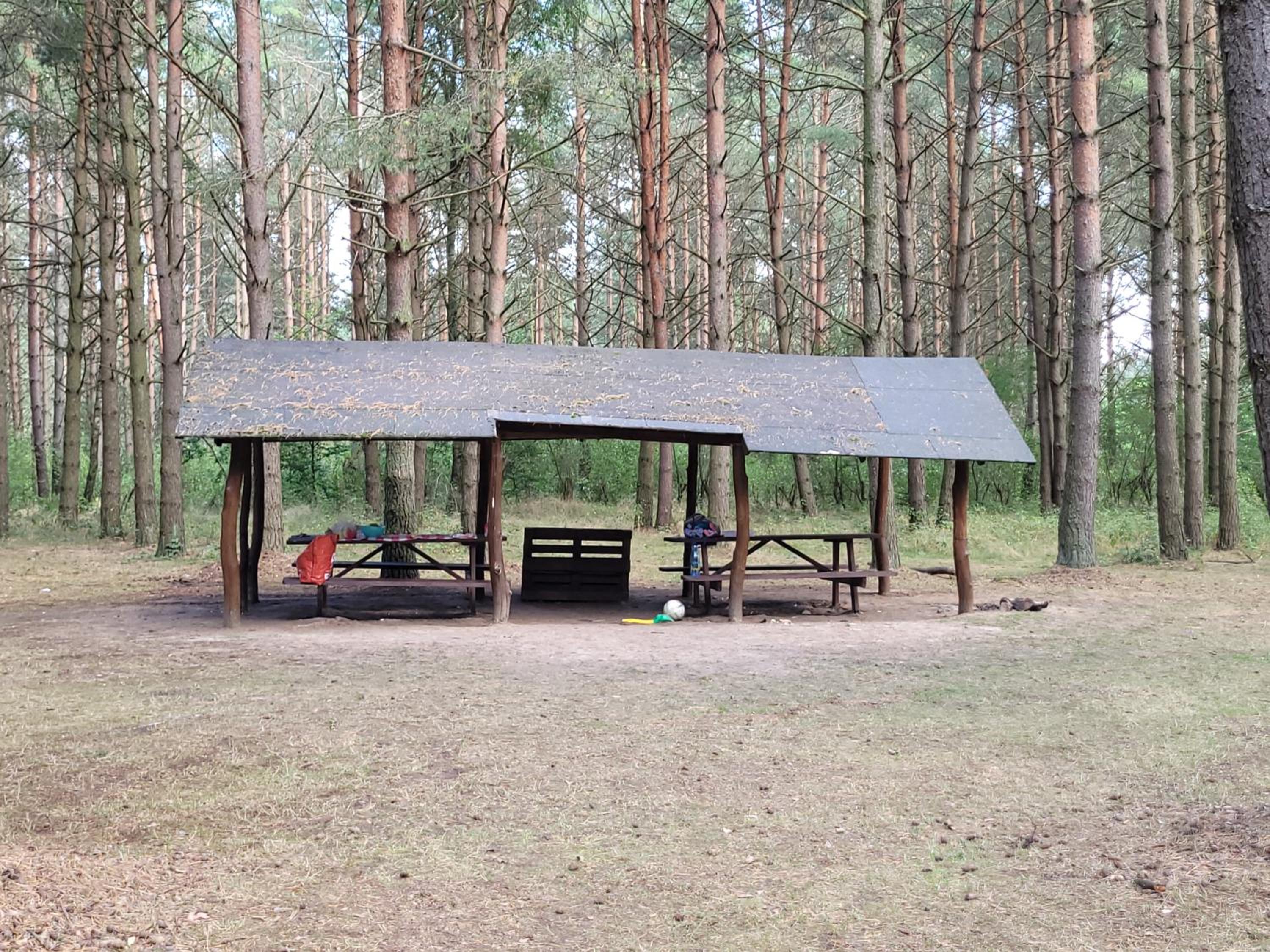 Photo 11