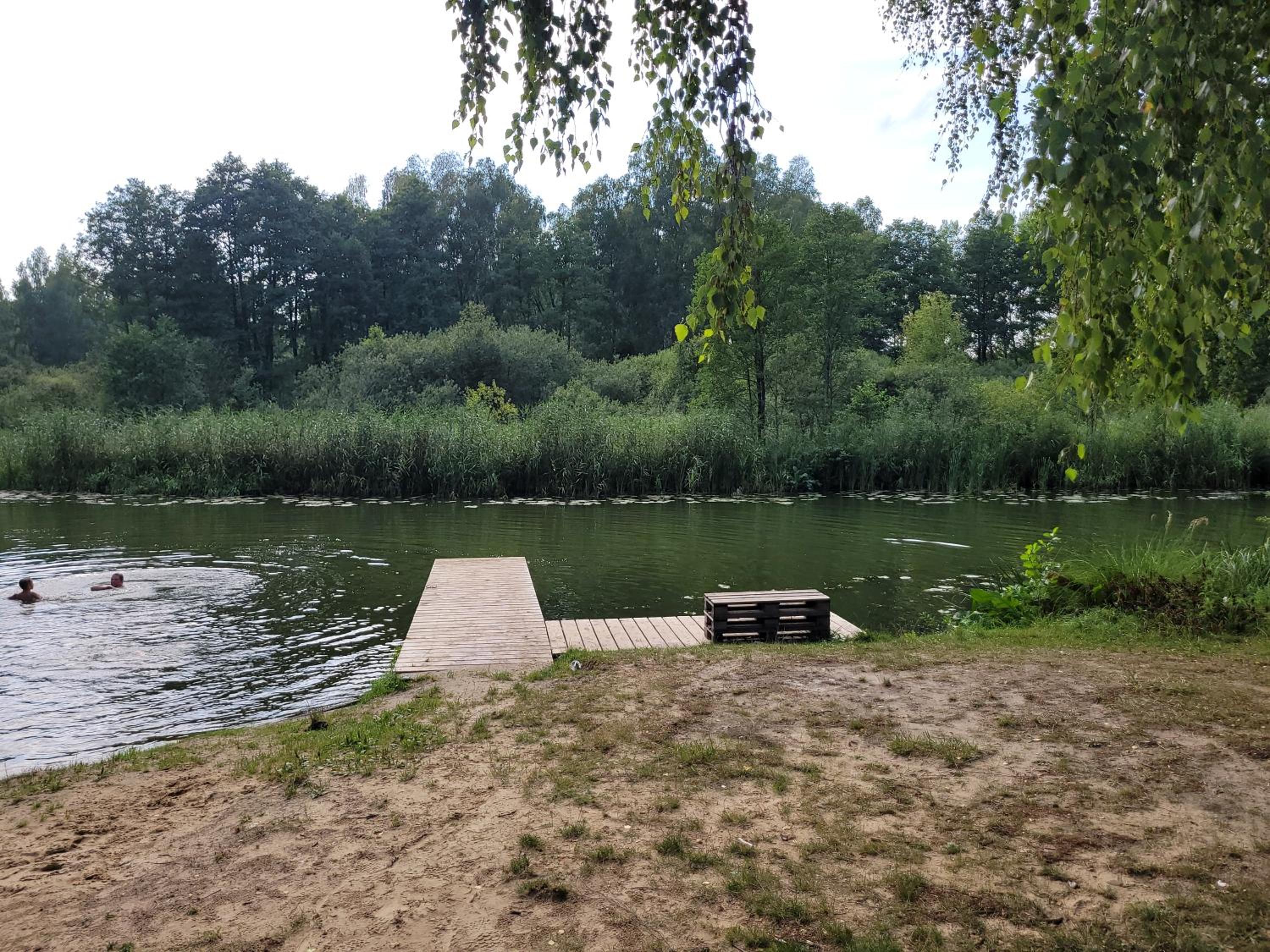 Photo 6