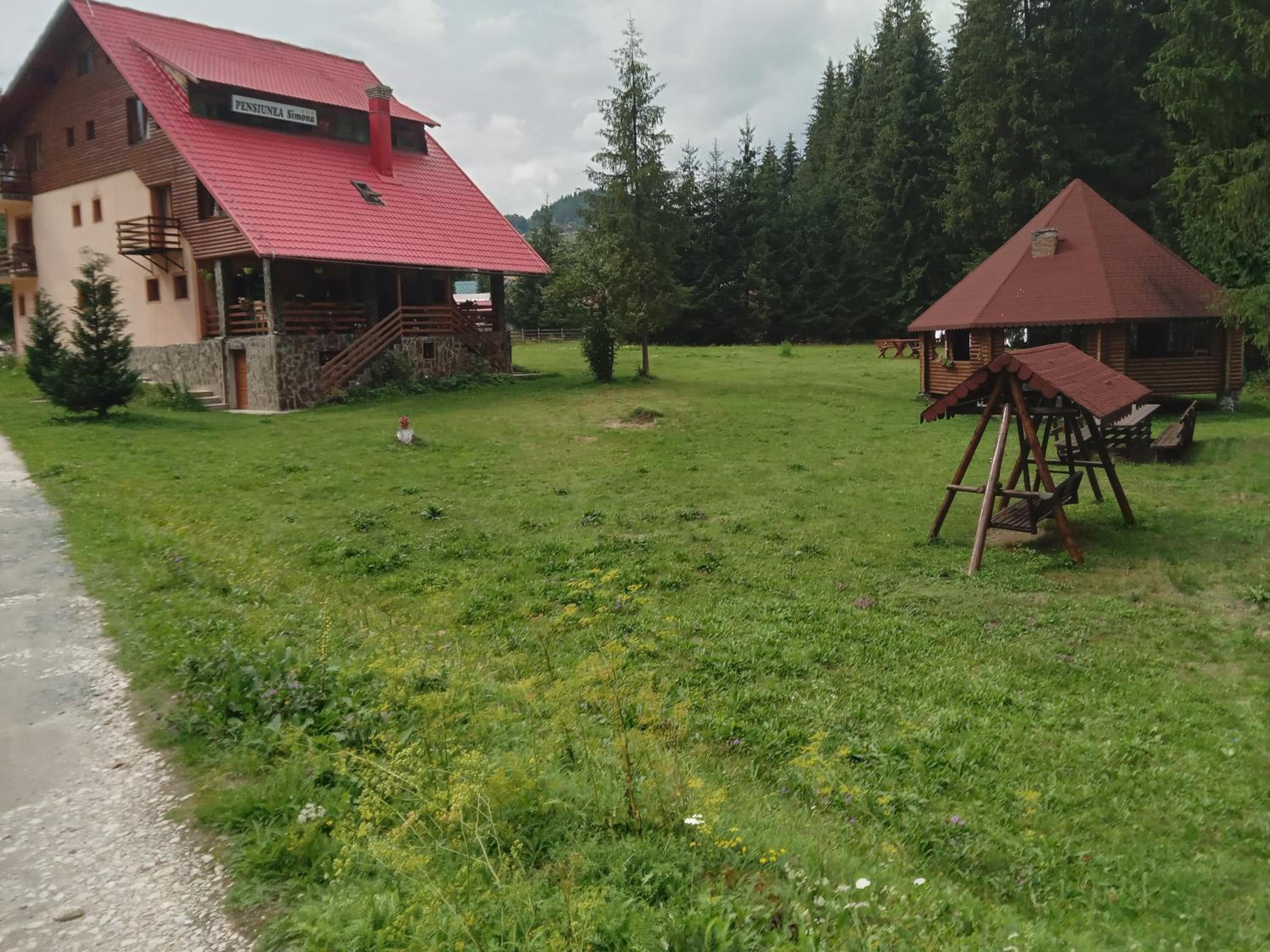 Photo 41