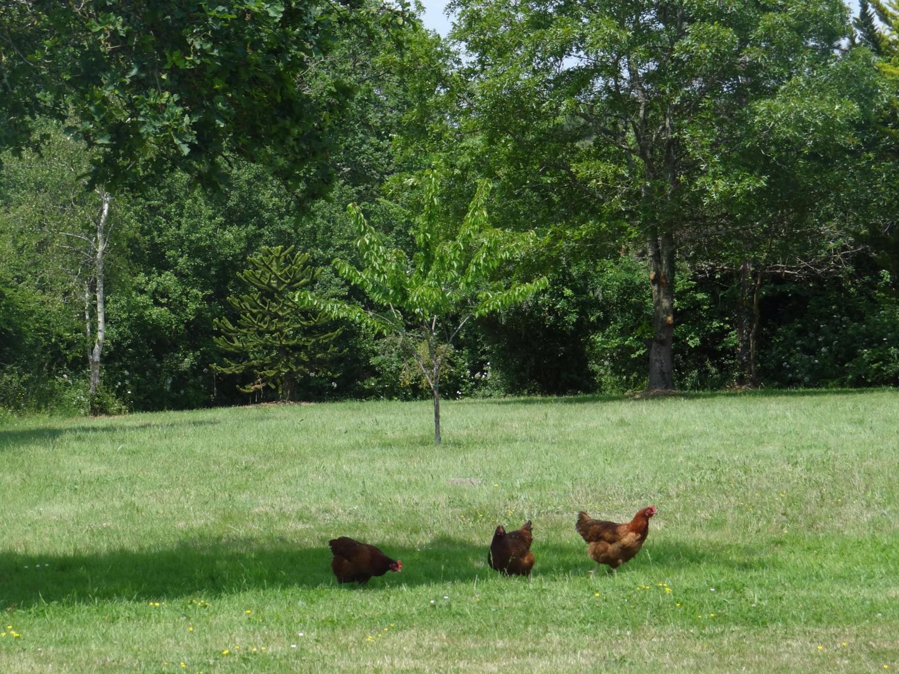 Domaine Des Coutelleries, photo 67