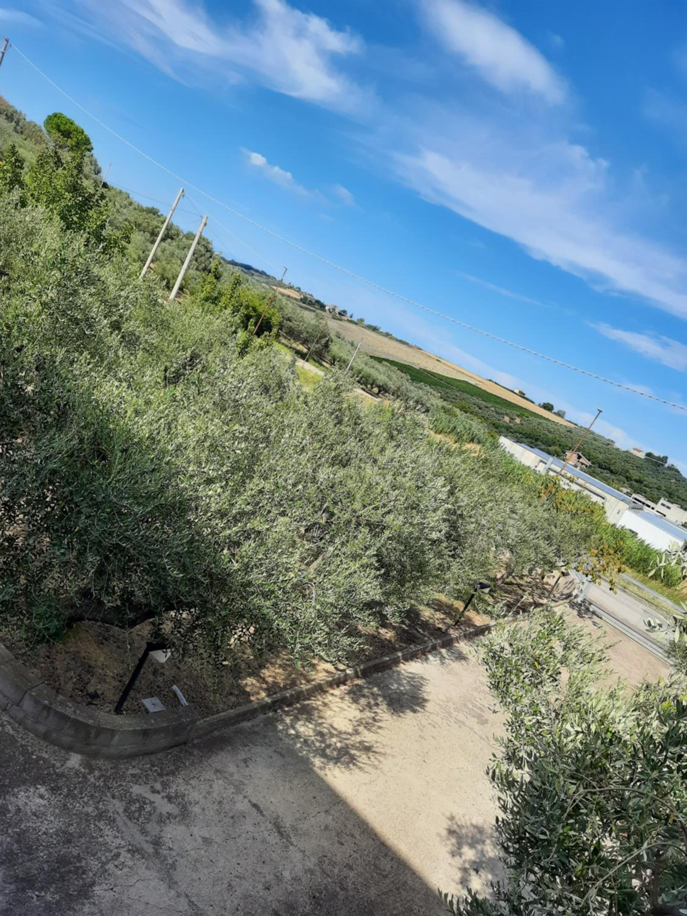 Appartamento L'Acero