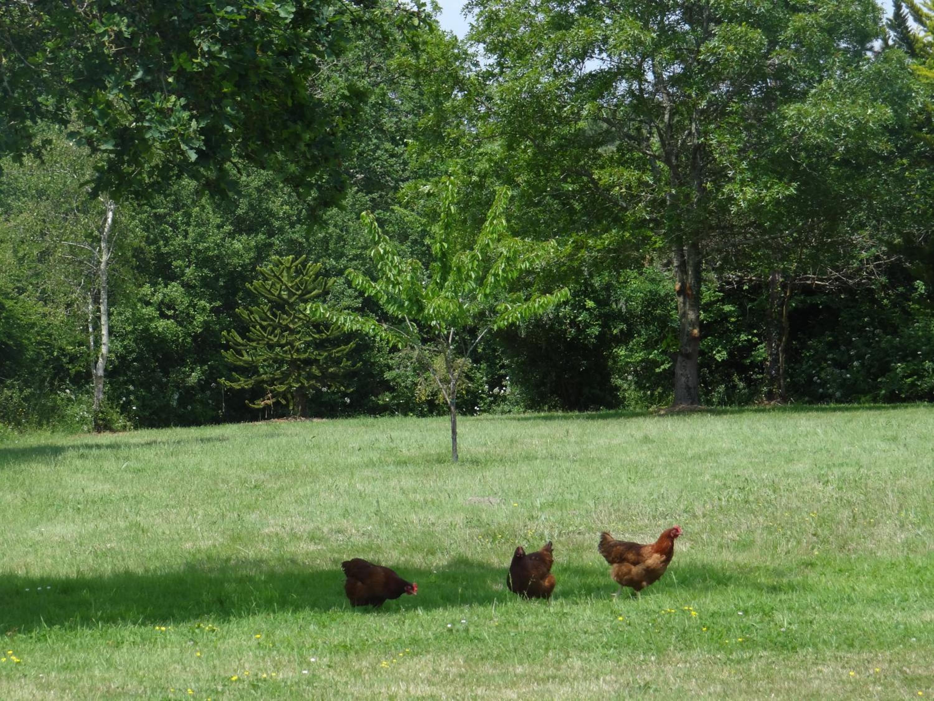 Domaine Des Coutelleries, photo 66