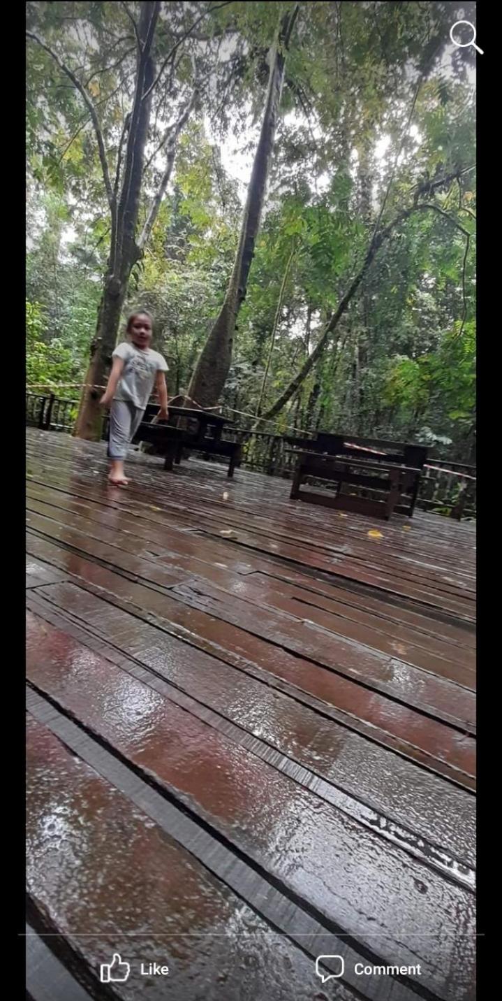 Mulu Homestay photo 4