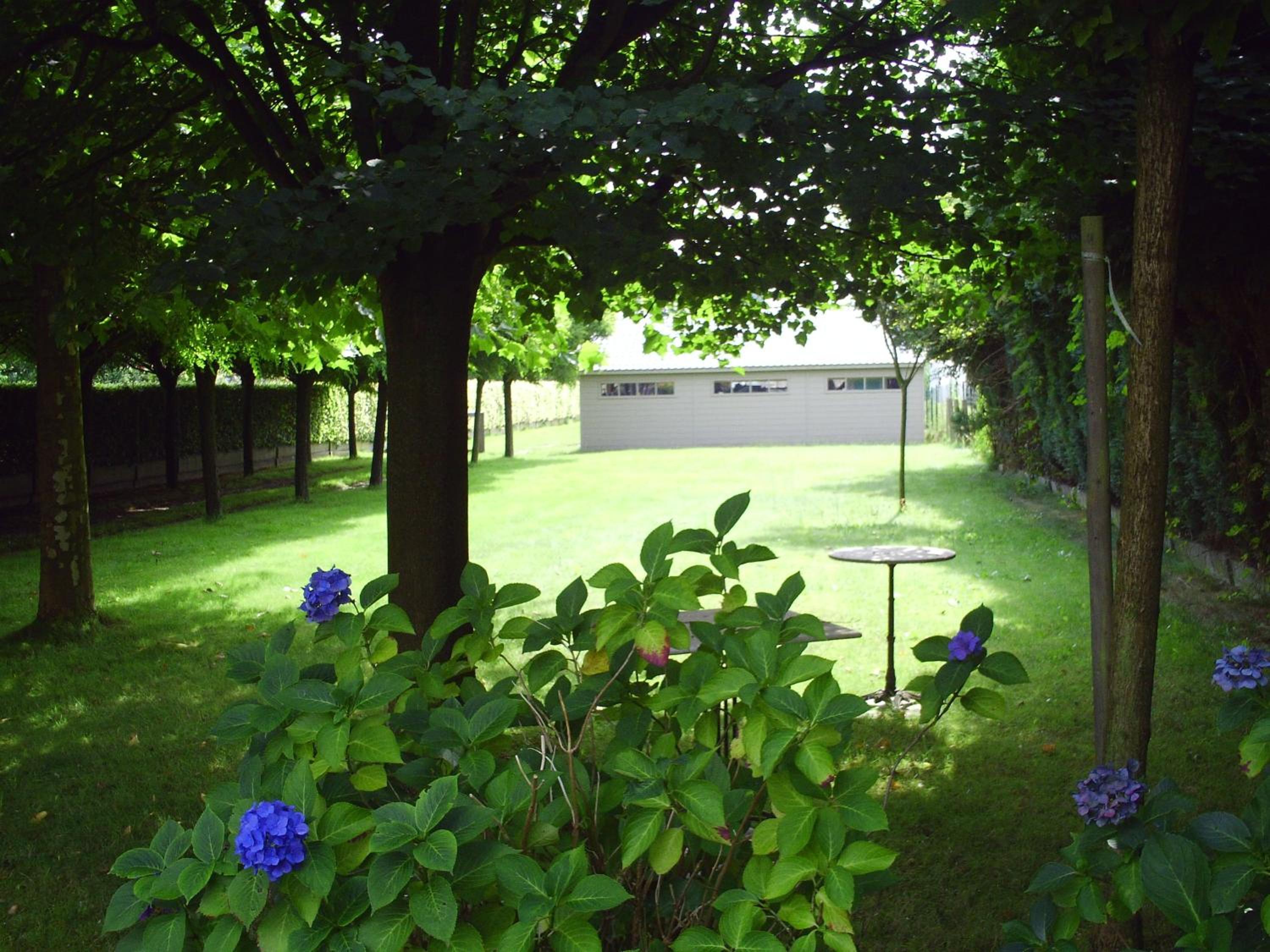 Photo 8