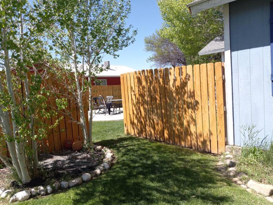 Photo 22