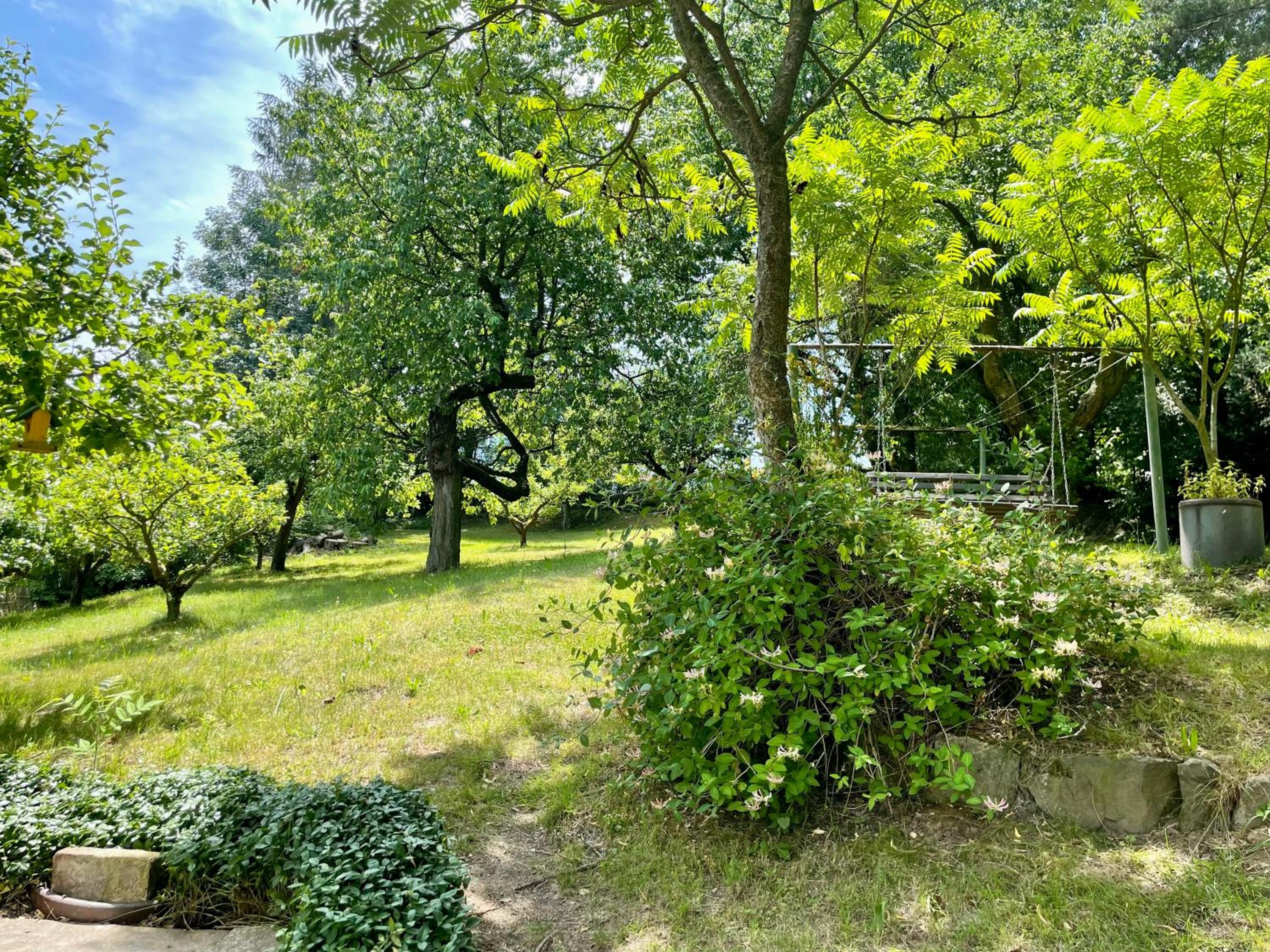 Silver Linden Cottage
