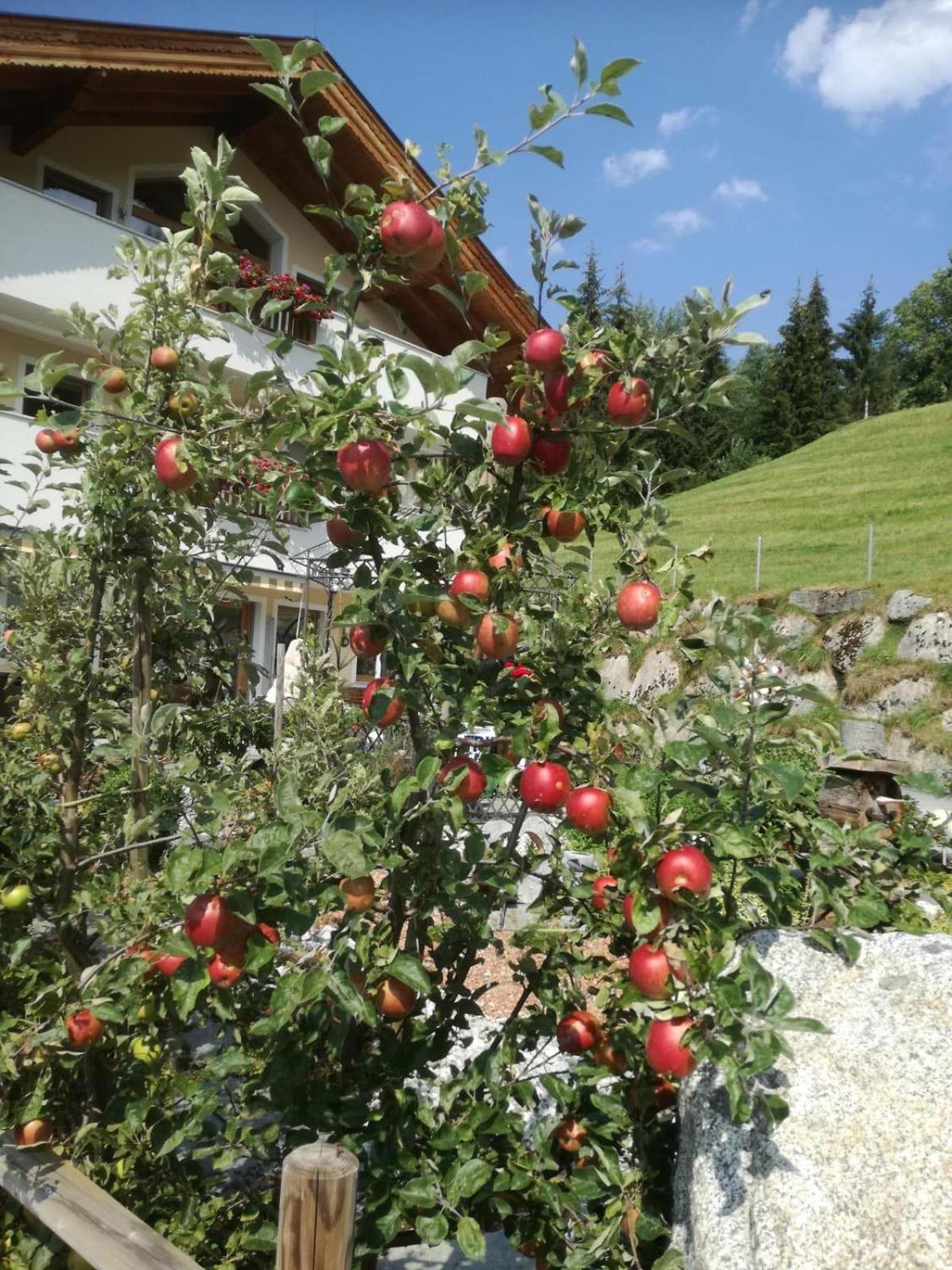 Ferienwohnungen Hinterstein