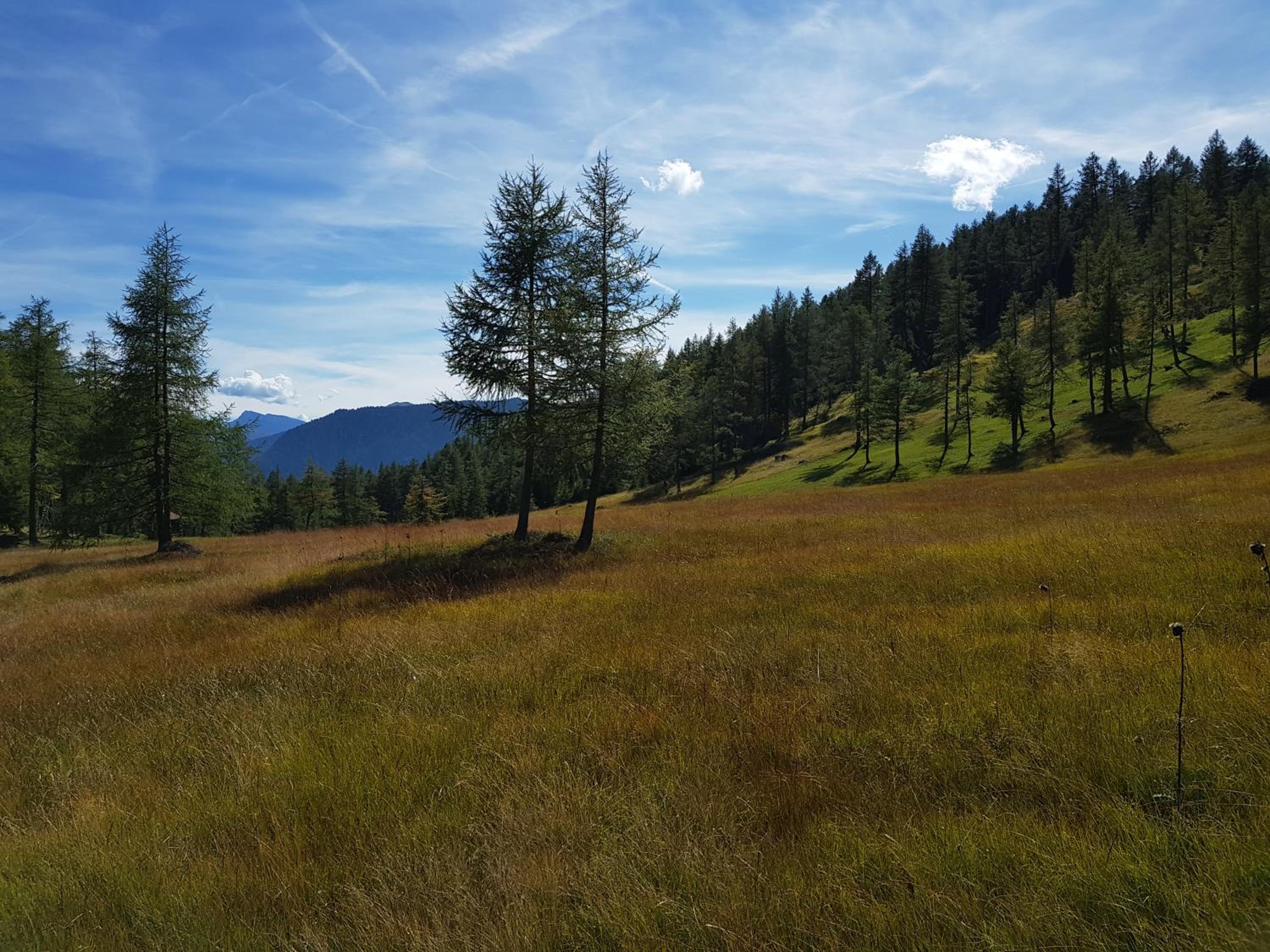 Haus Rappold