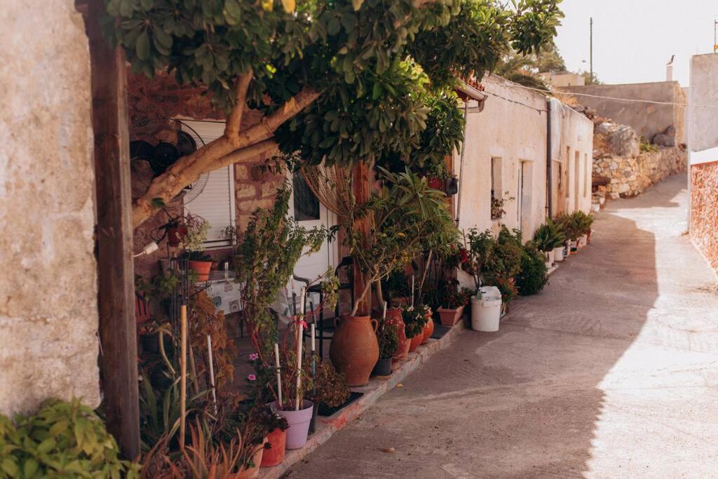 HILL HOUSE SANDALI 2 photo 2