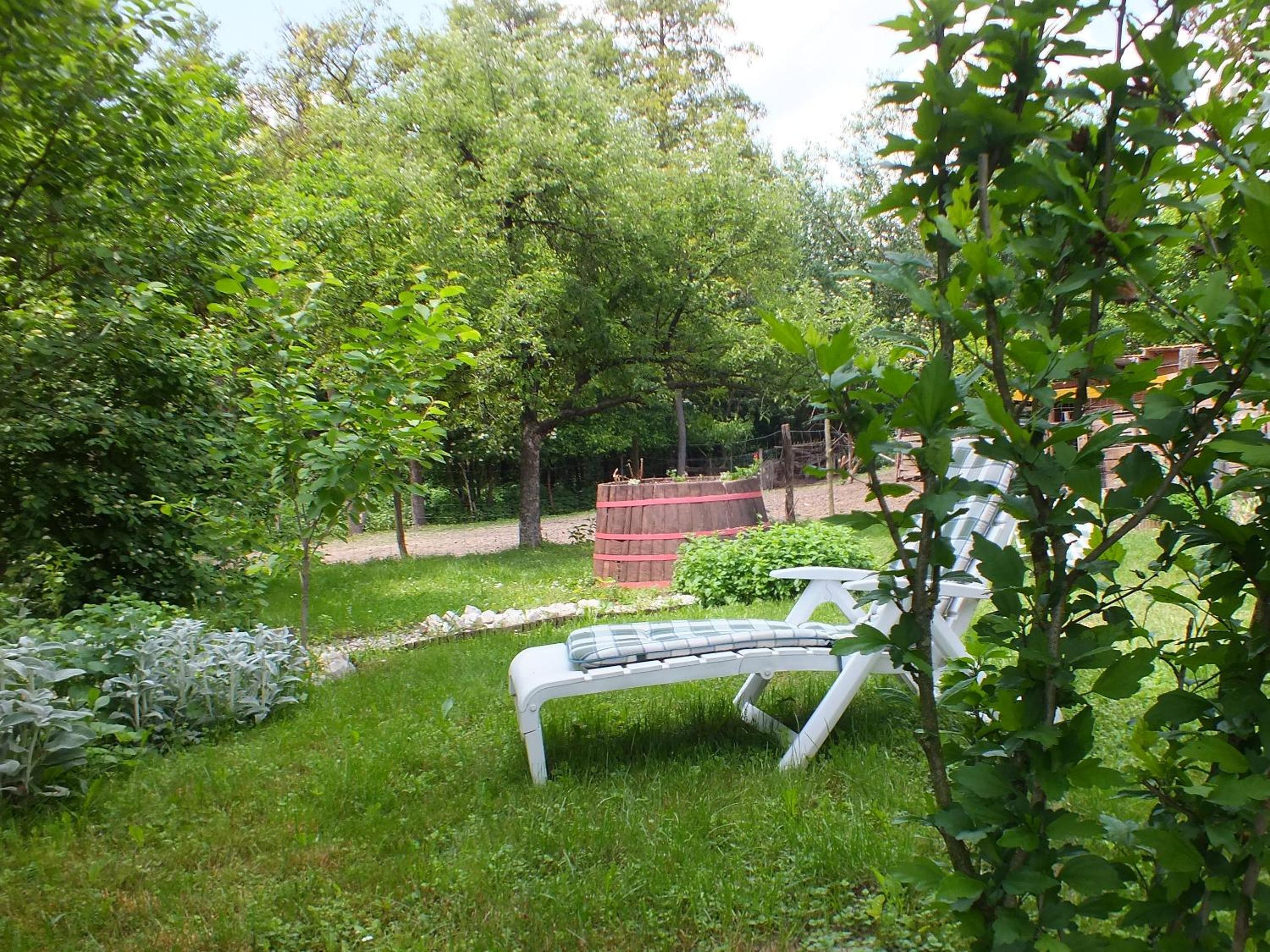 Photo 29