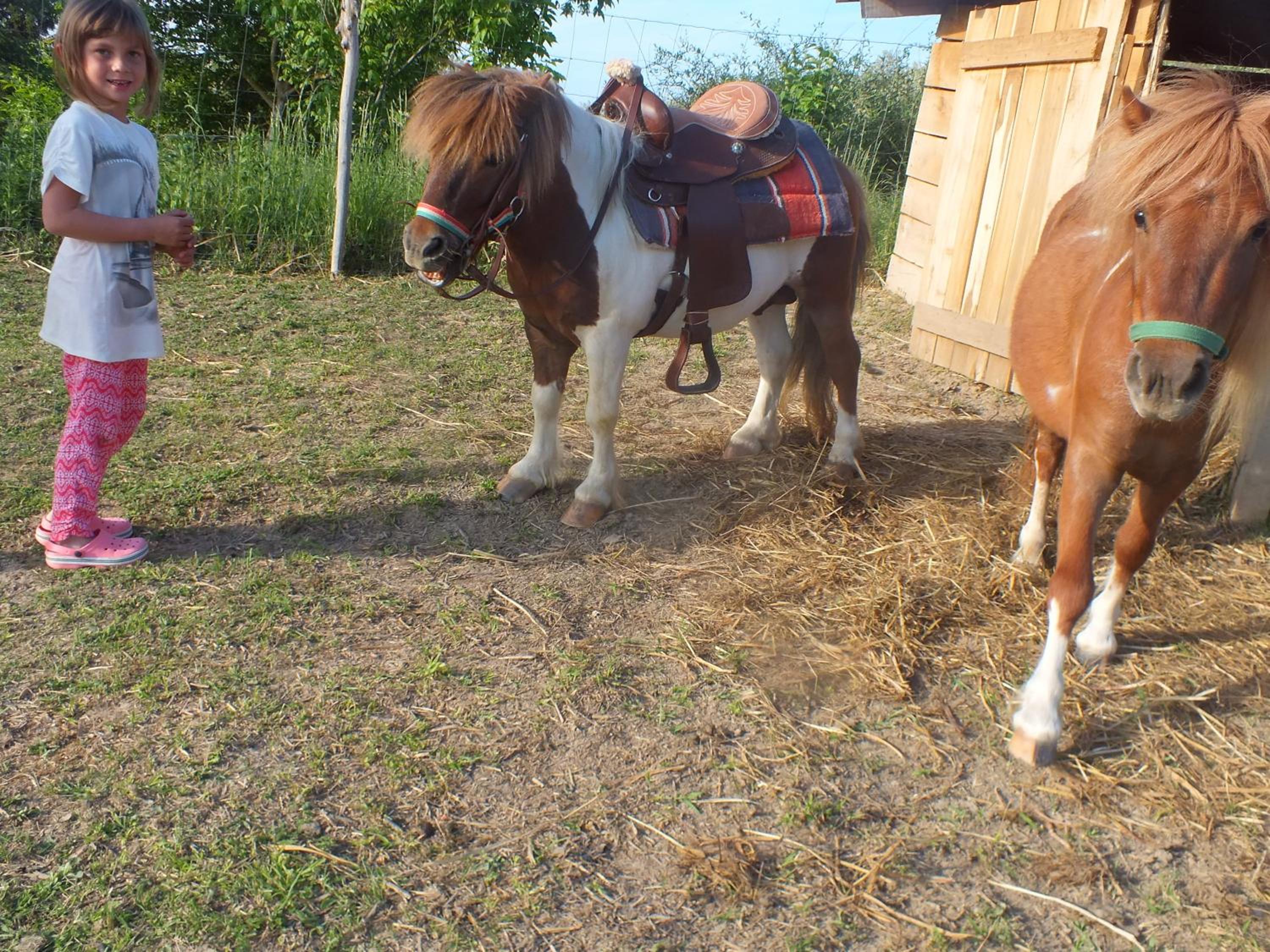 Photo 35