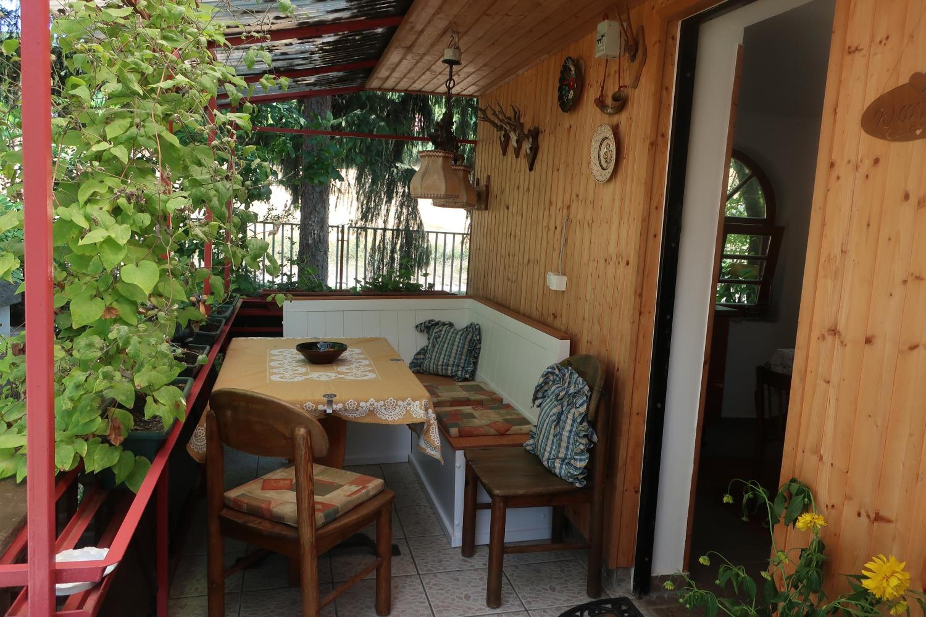 Photo 41