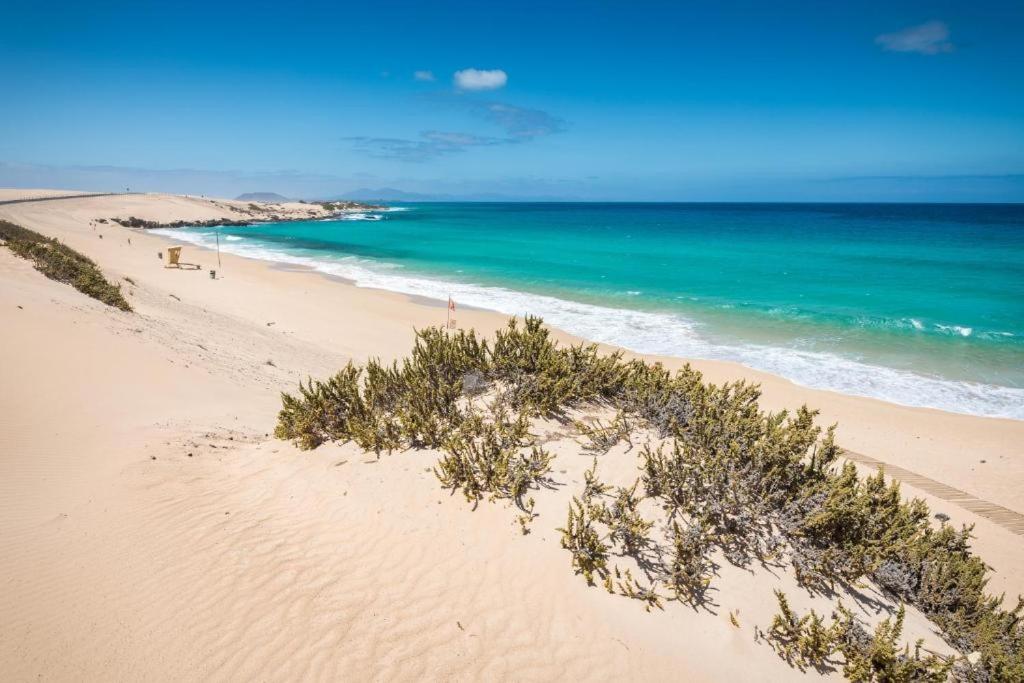 Los Majos Fuerteventura