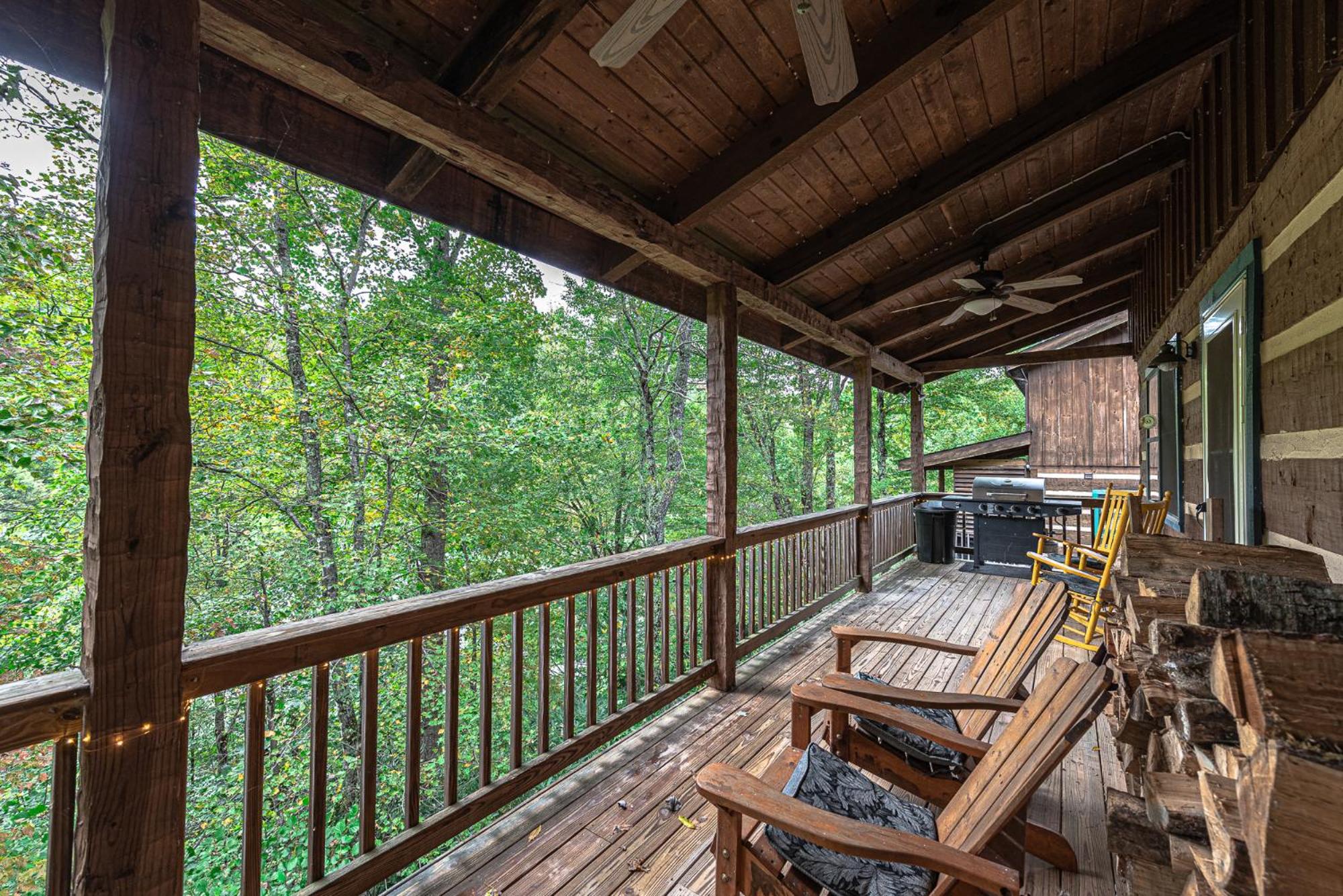 Bear Pause Cabin 3 BR/3BA Amazing view of the Lake view 2