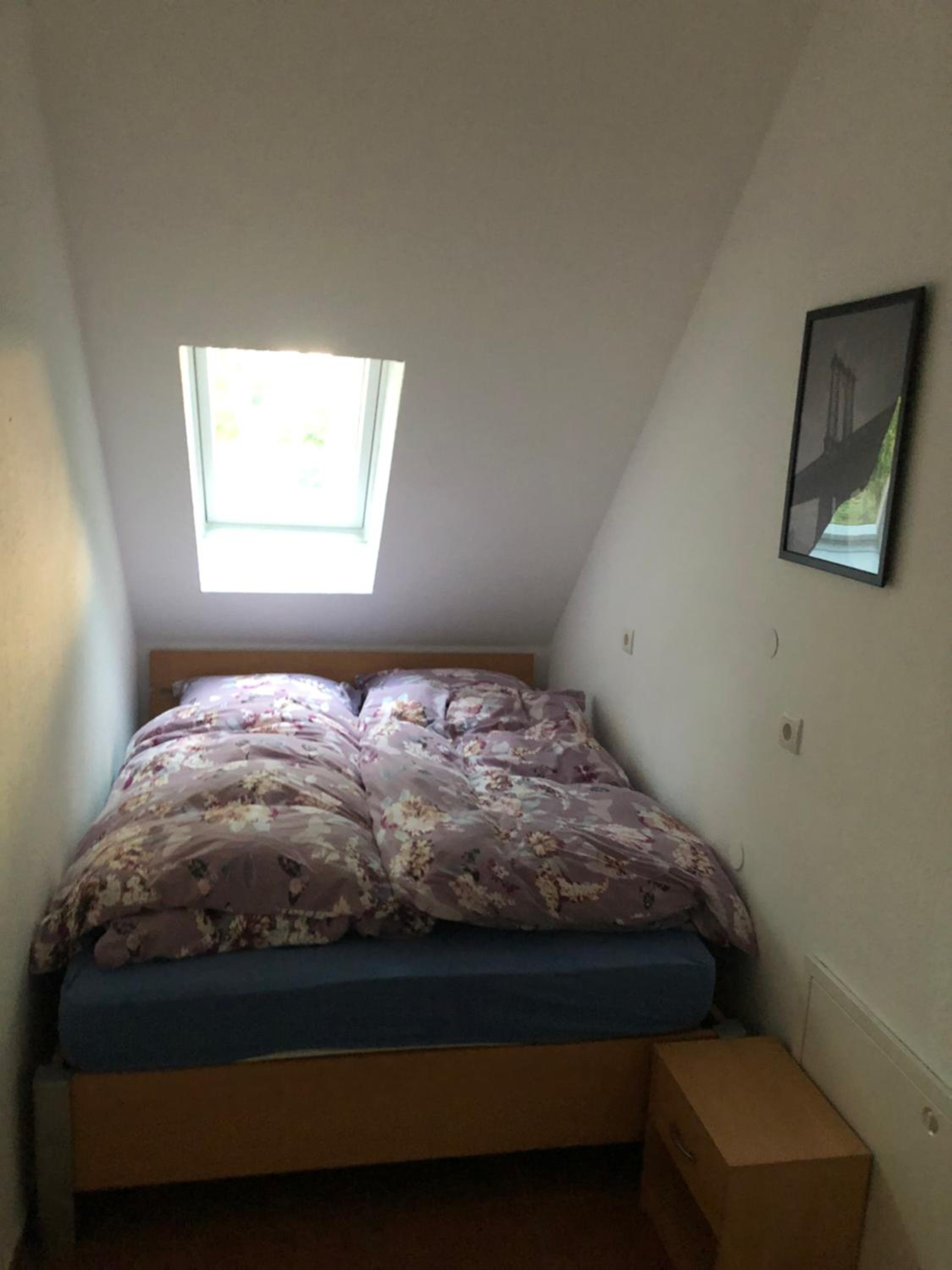 Ferienwohnung Grove