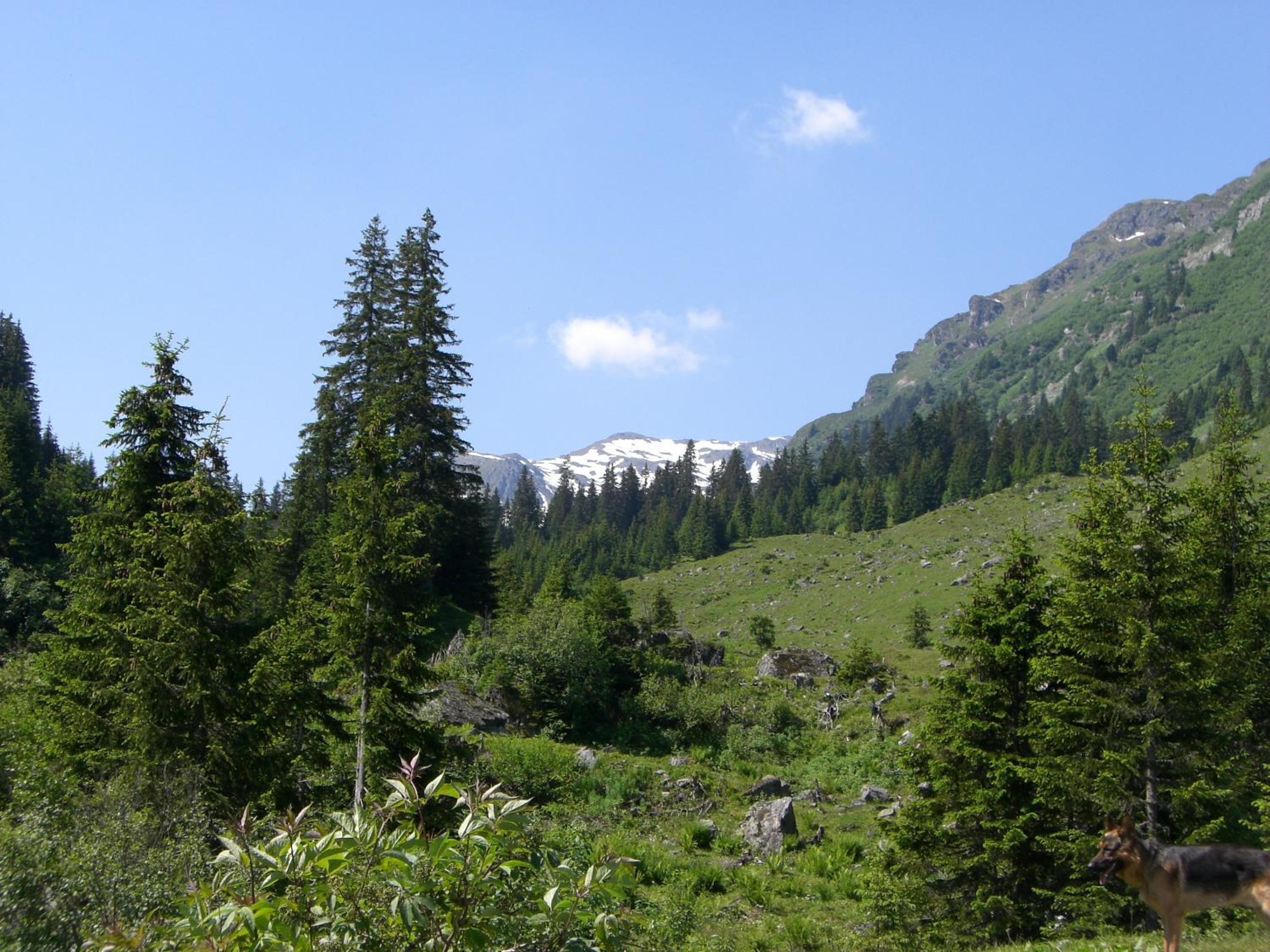 Photo 18