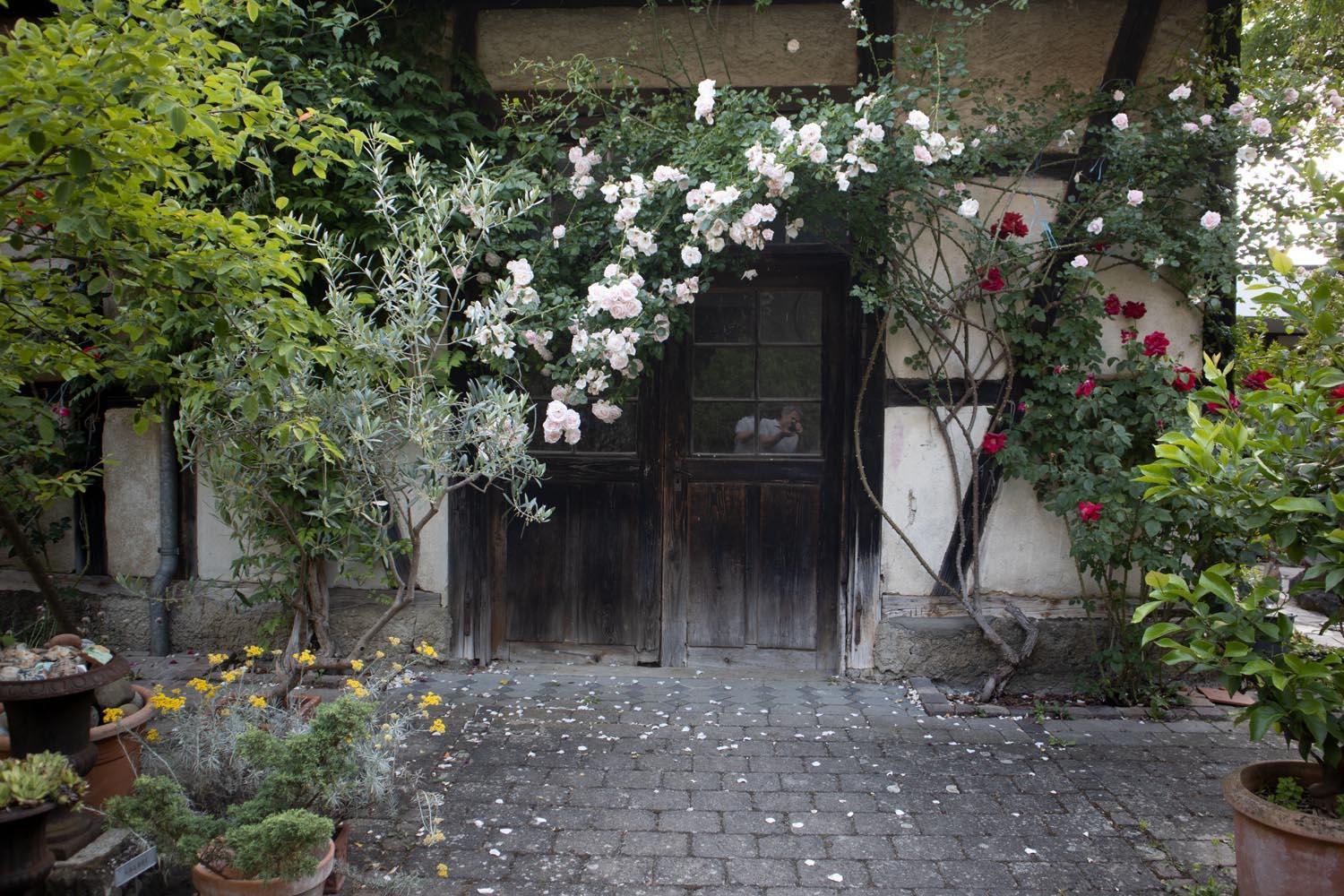 Photo 10