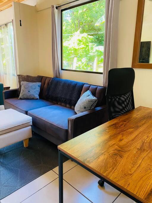 Beautiful 2-bedroom home OR Studio Apartment OPTION in Santa Cruz