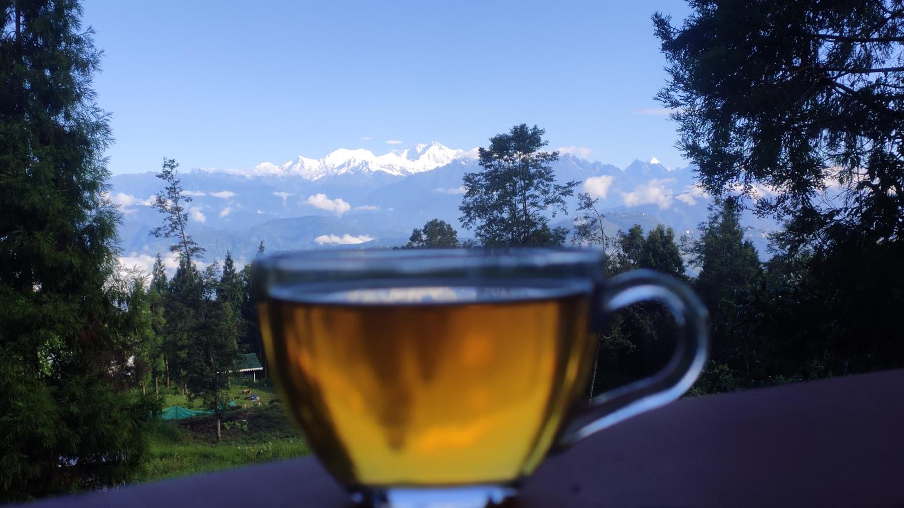 Himalayan Cloud's Homestay view 4