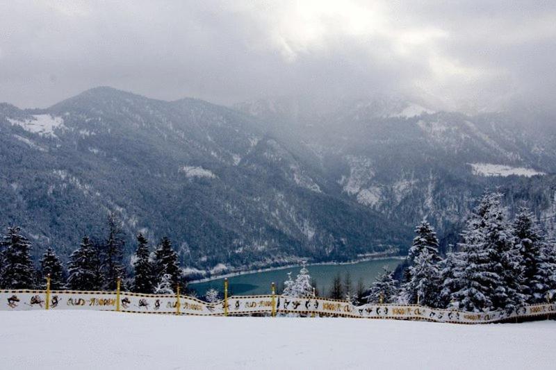 Bed & Breakfast Der Tiroler