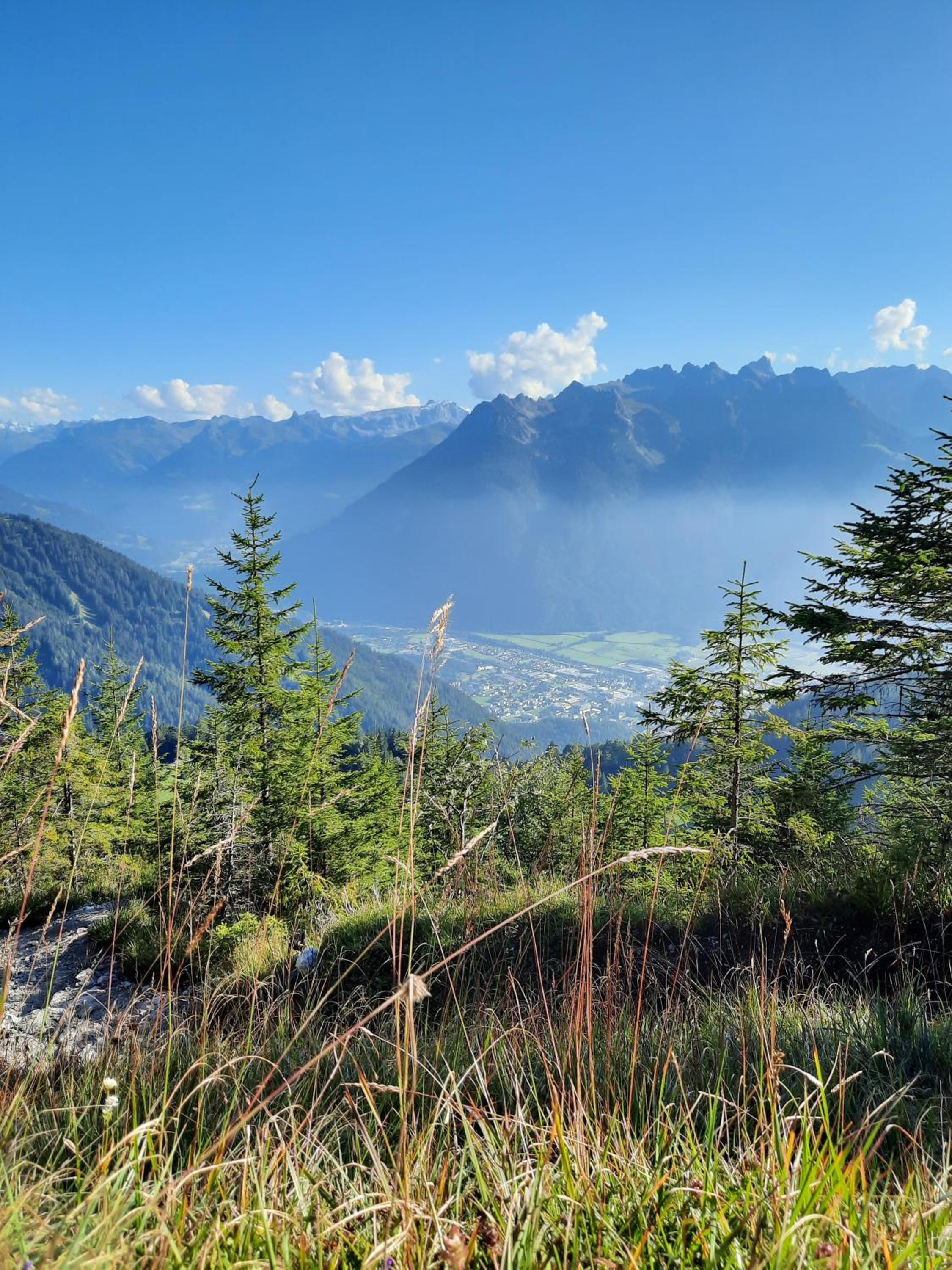 Ferienwohnung Alpblick