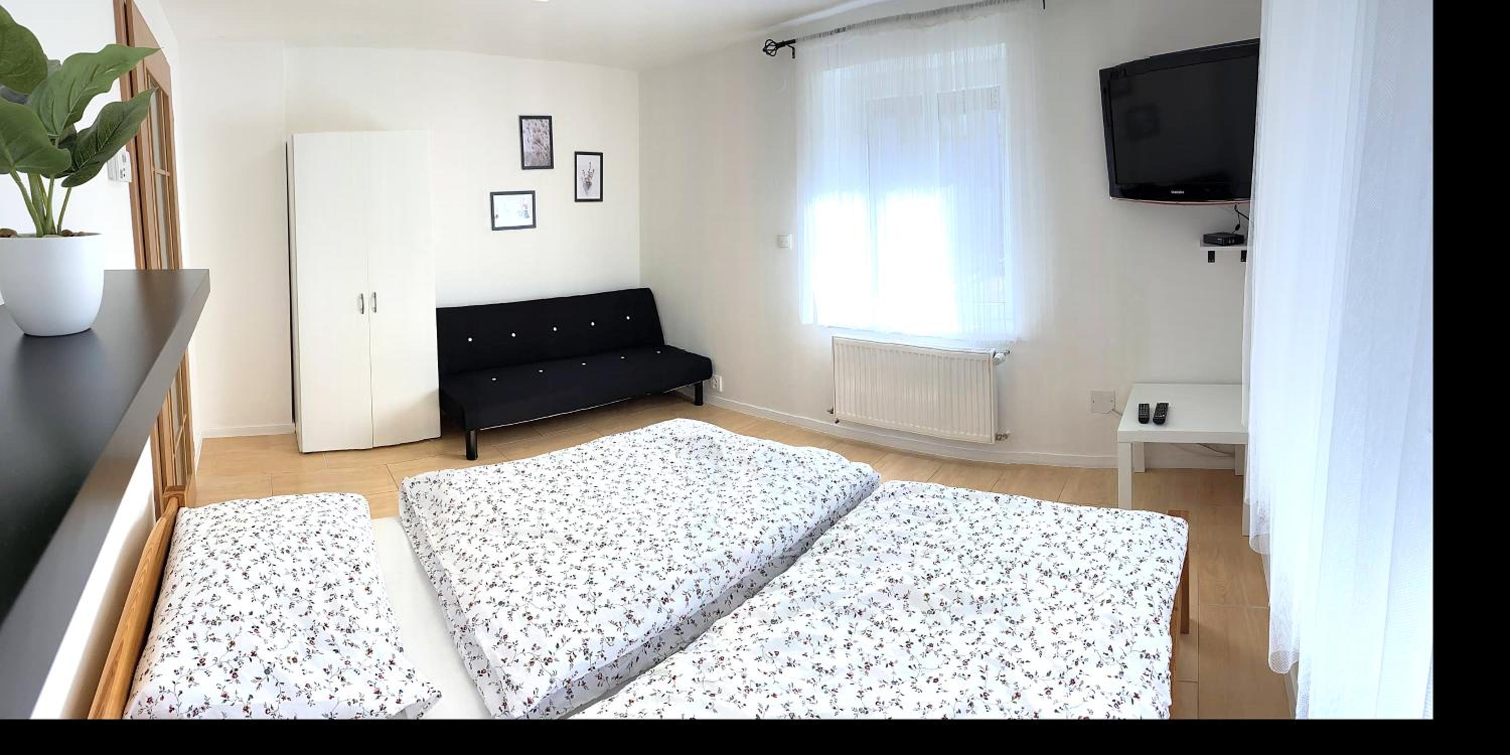 Plně vybavený apartmán na úpatí Jizerských hor view 4