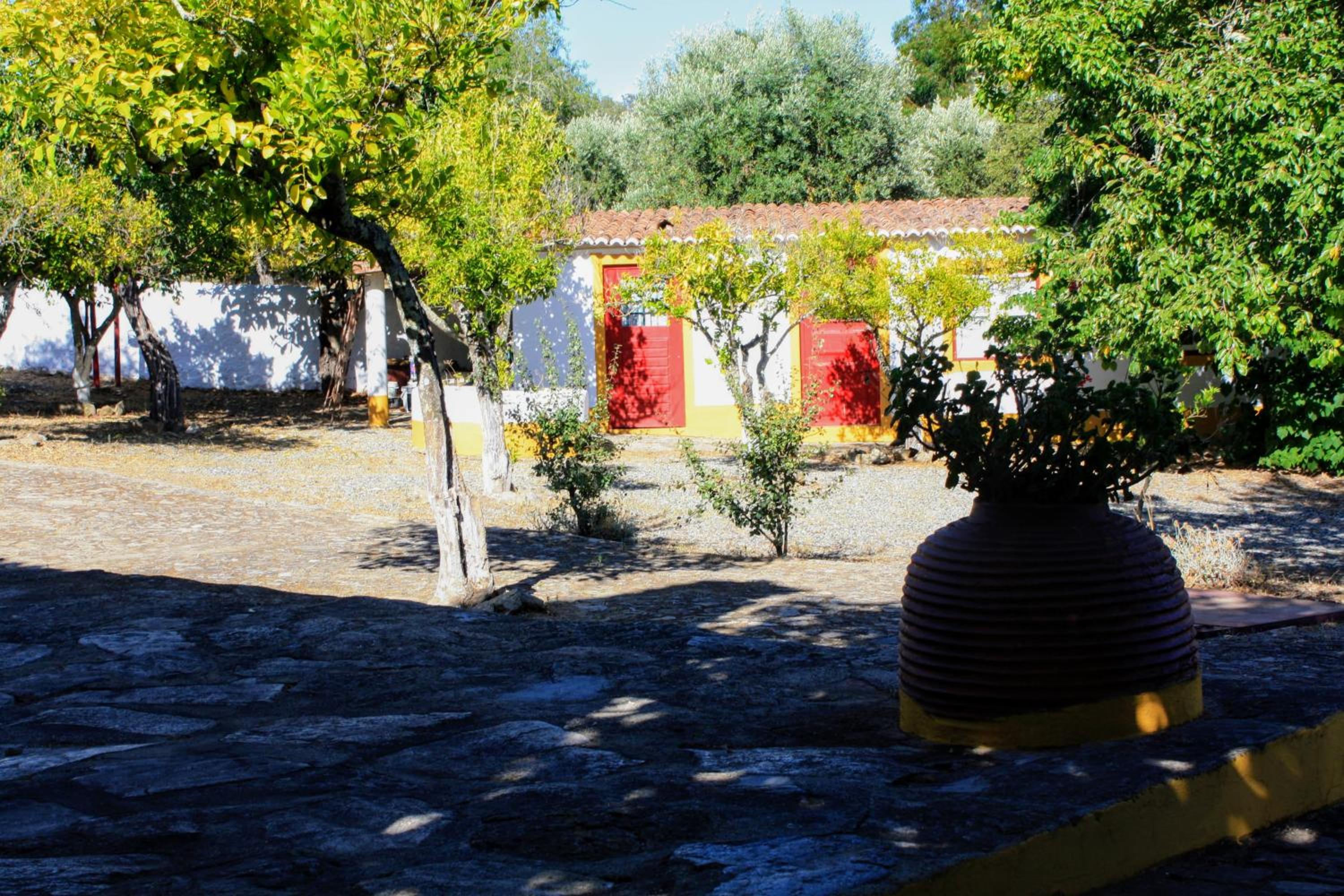 Monte da Tarouca no Alto Alentejo view 4