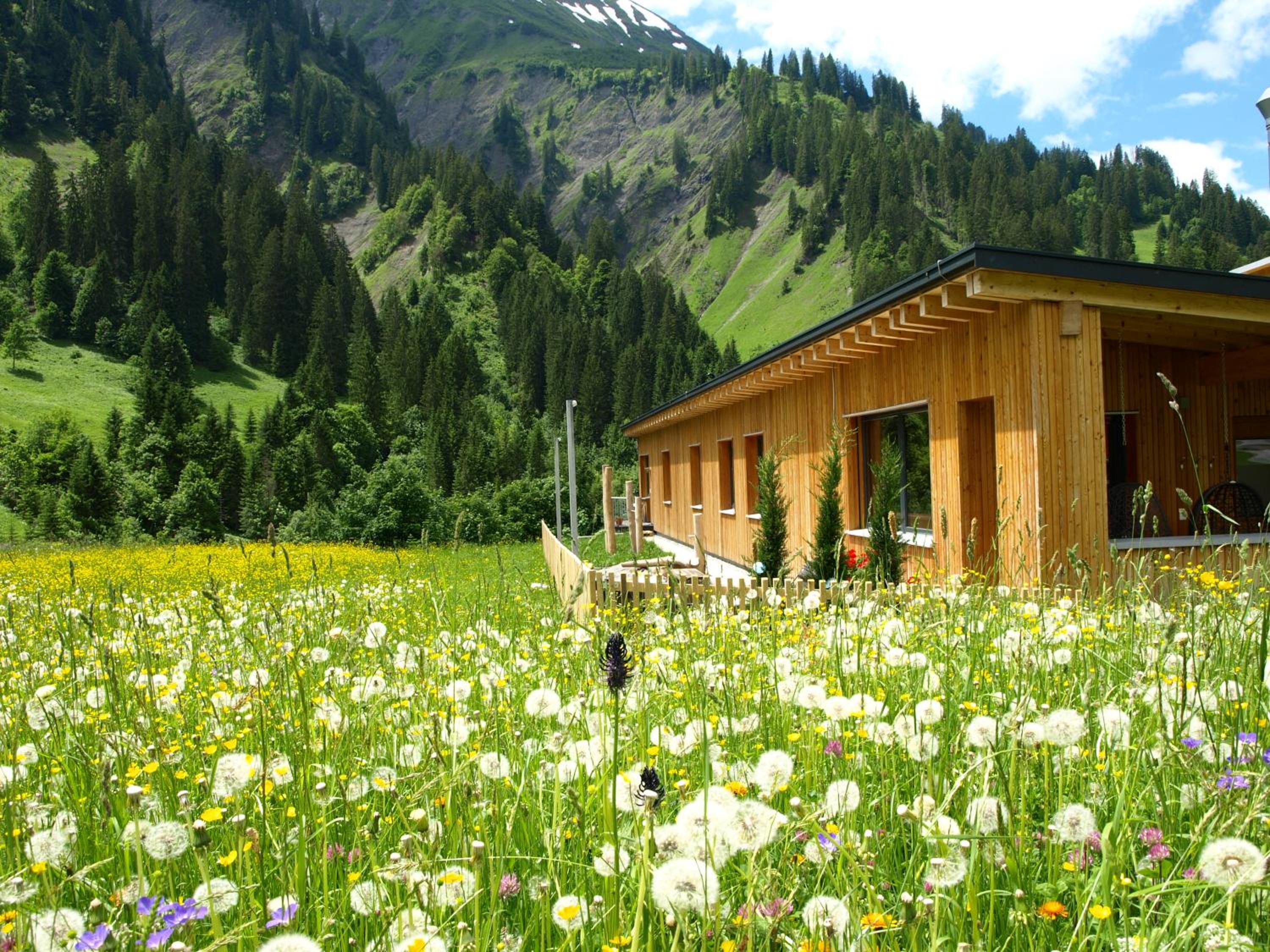 Vital Chalet Edelweiss view 3