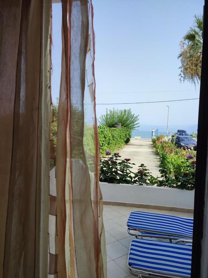 Photo 37