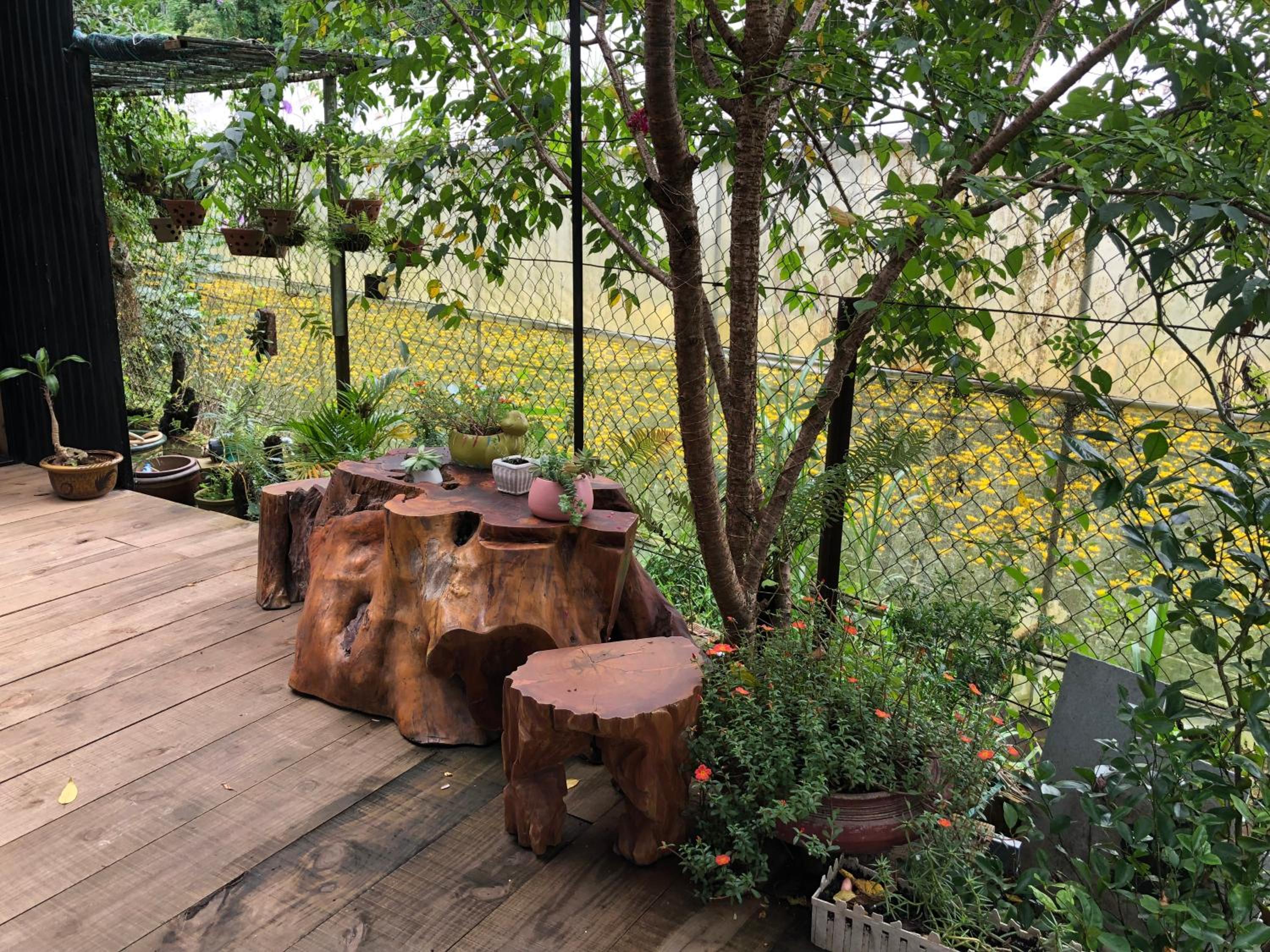 balance & terrace