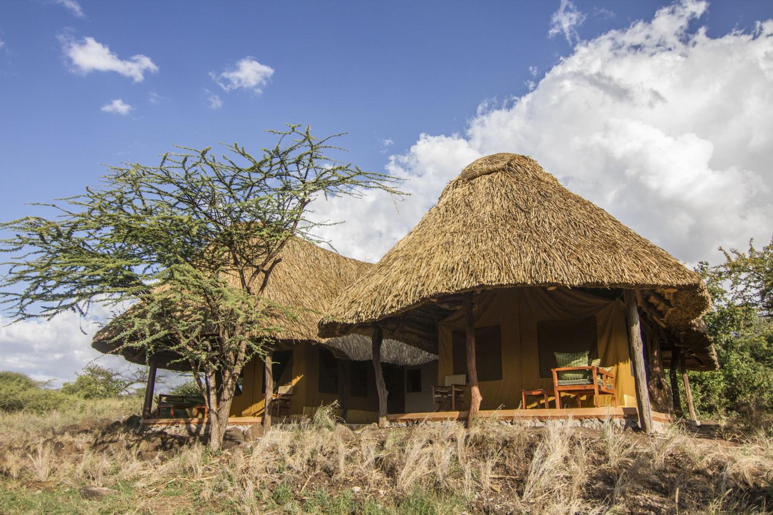 Elewana Lewa Safari Camp