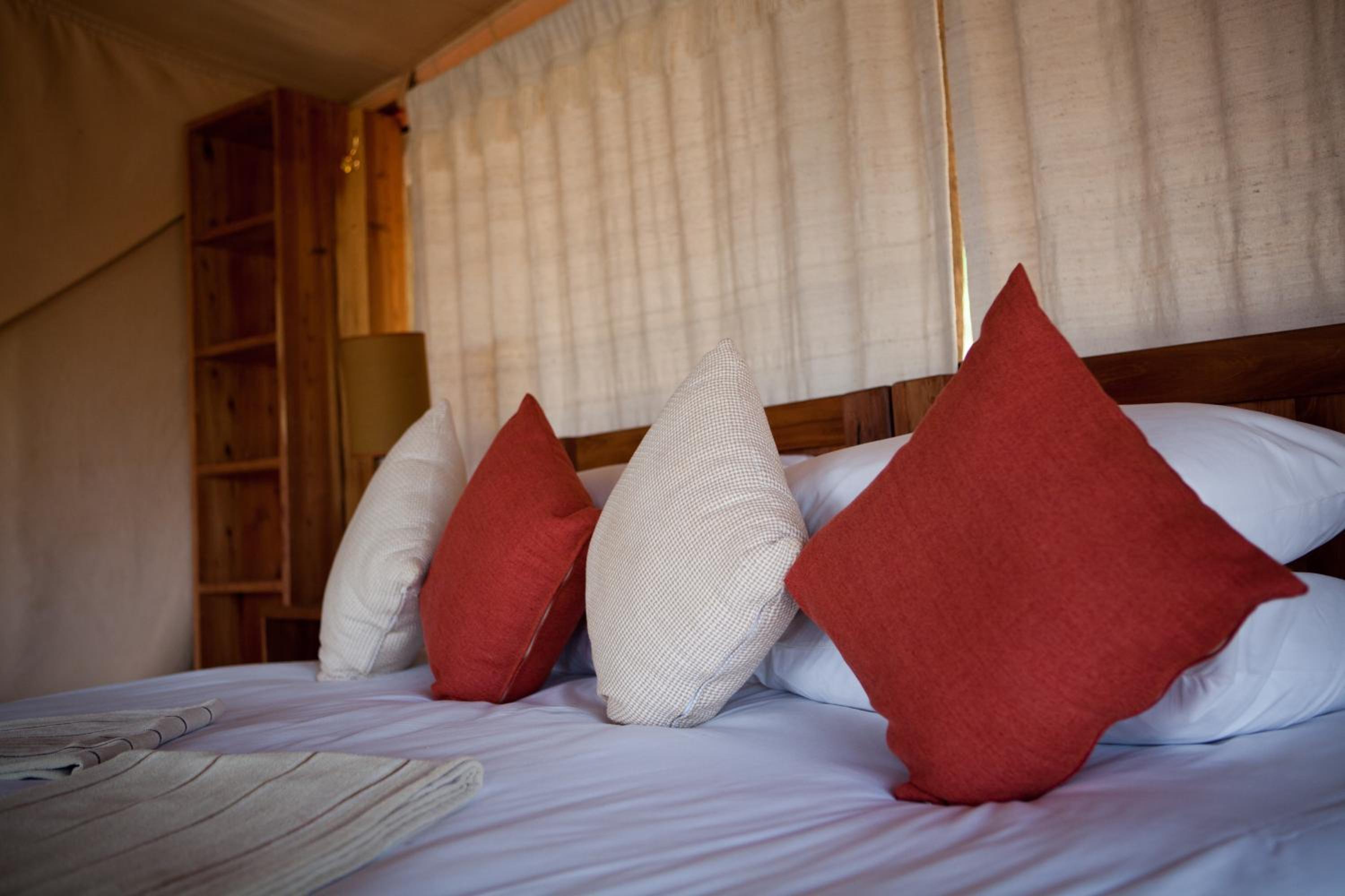 Elewana Lewa Safari Camp