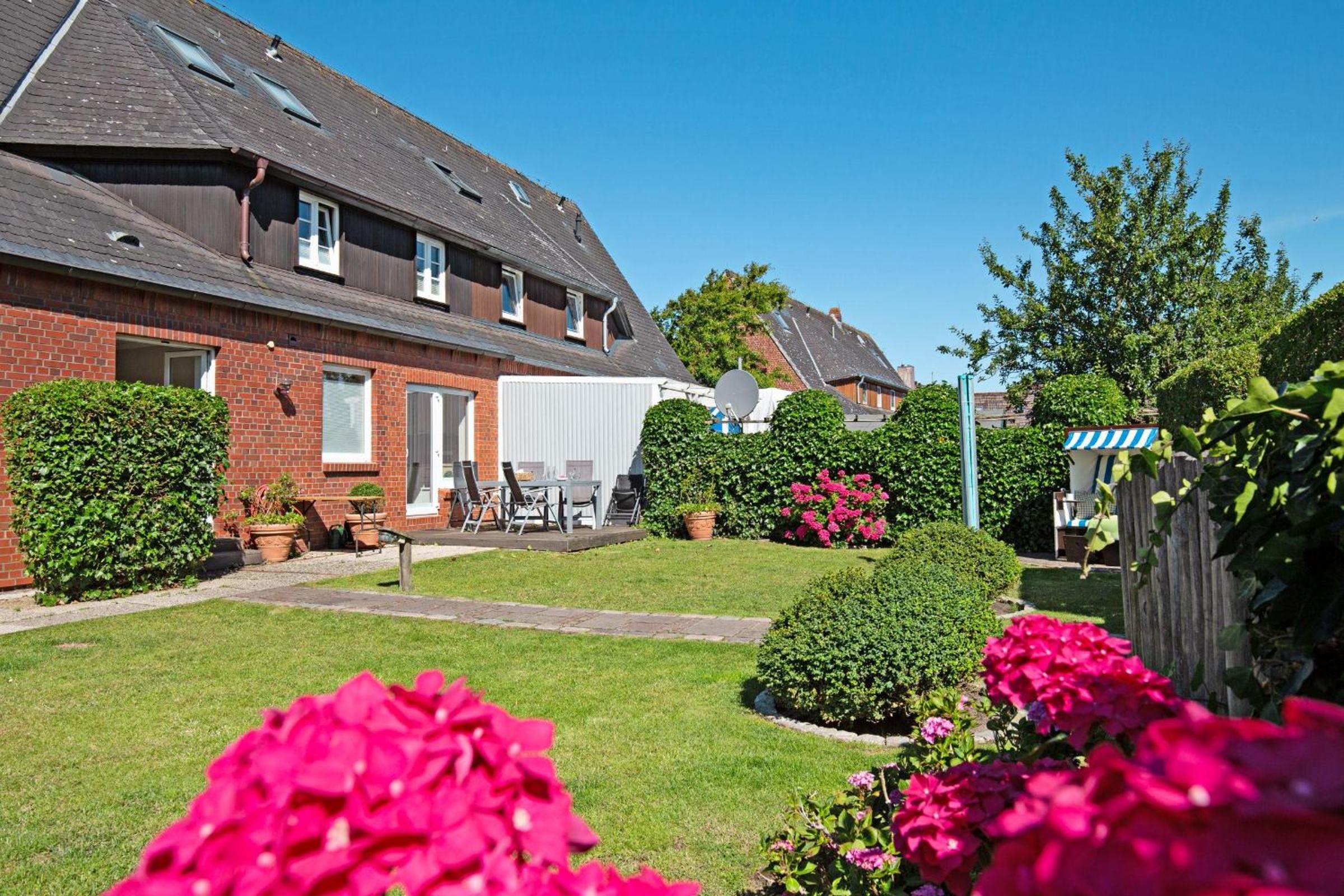 Bachstelze