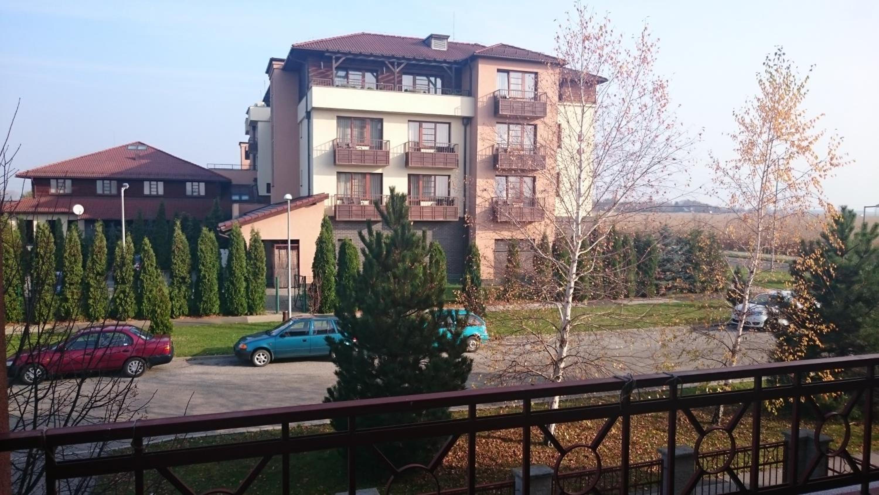 Photo 10