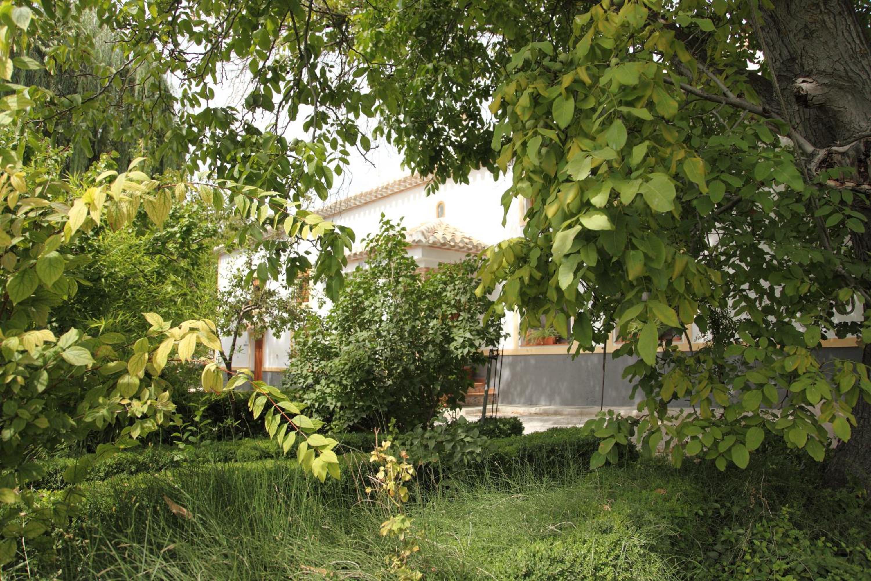Photo 19